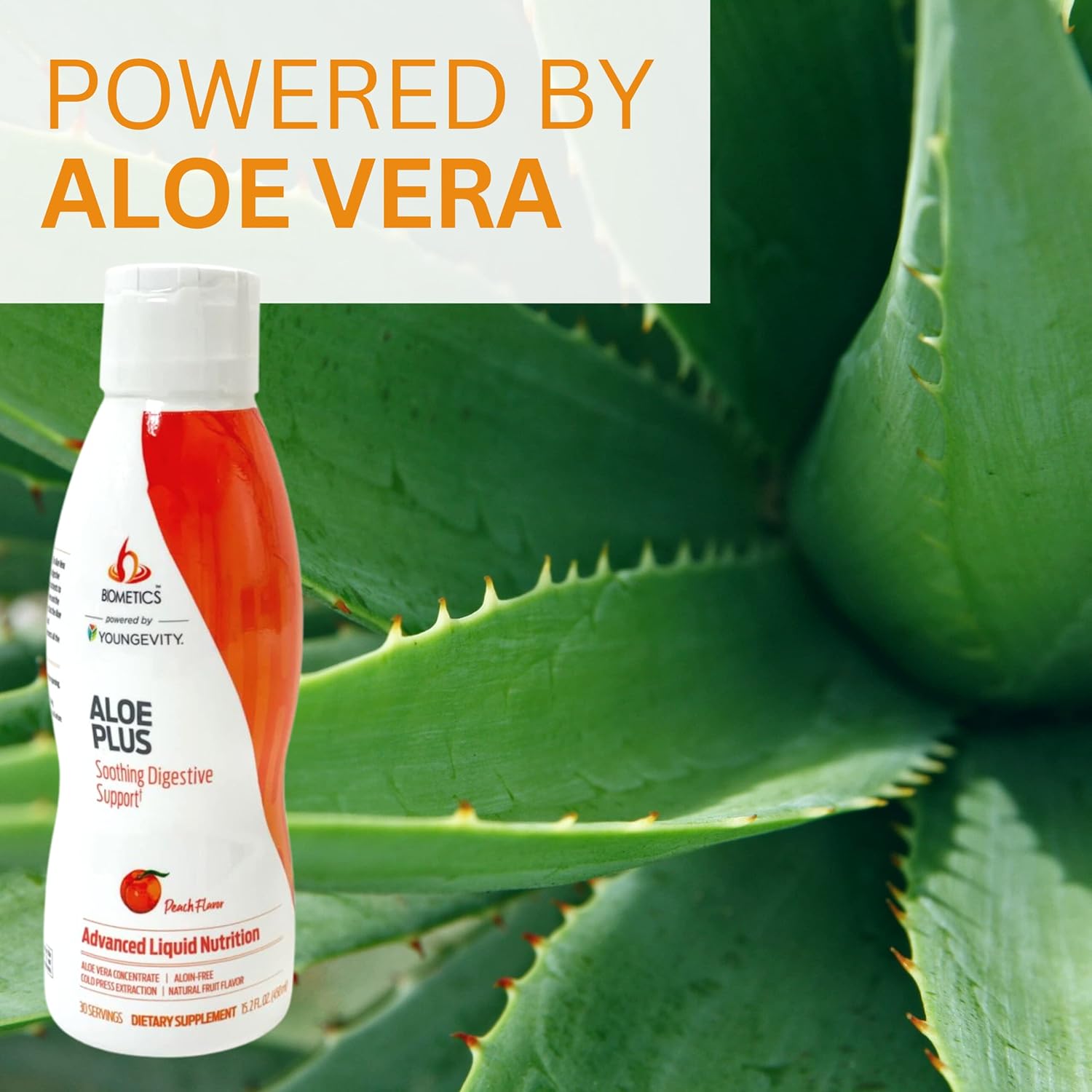 Youngevity Aloe Plus: Digestive Support in 15.2 Fl.Oz. Bottle