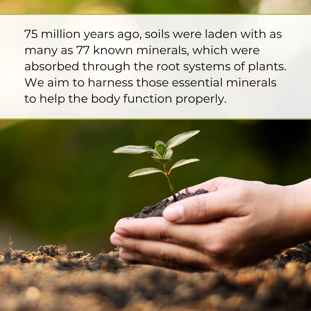 Youngevity Liquid Mineral Supplement - 77+ Natural Trace Minerals - 19,000mg Plant Minerals - Colloidal Form Humic Shale - 32 oz Bottle