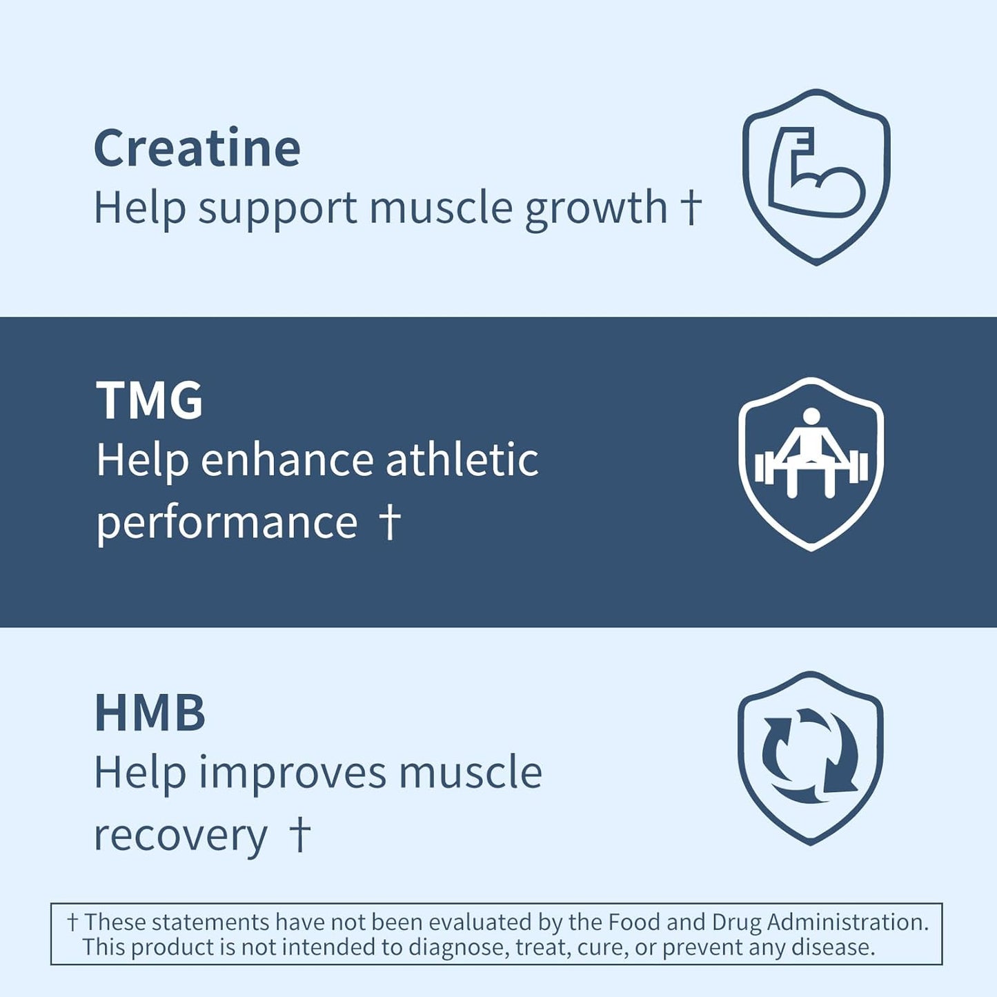 Youthvita Micronized Creatine Monohydrate Tablets with HMB & TMG for Muscle Growth and Recovery - 180 Count