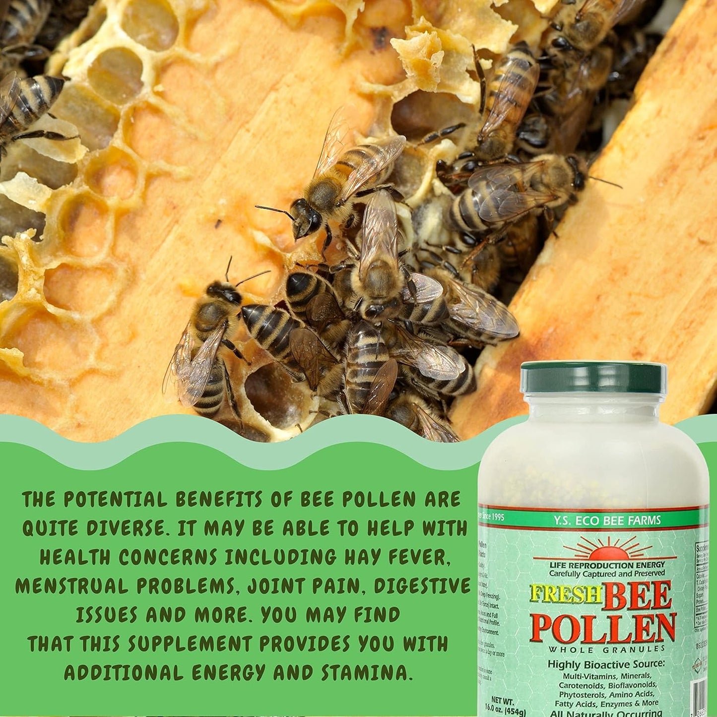 Y.S. Eco Bee Farms Bee Pollen Granules Bundle - 100% Pure - Wild Crafted - Vitamin Supplements - Amino Acids - Gluten-Free - 16 oz - Worldwide