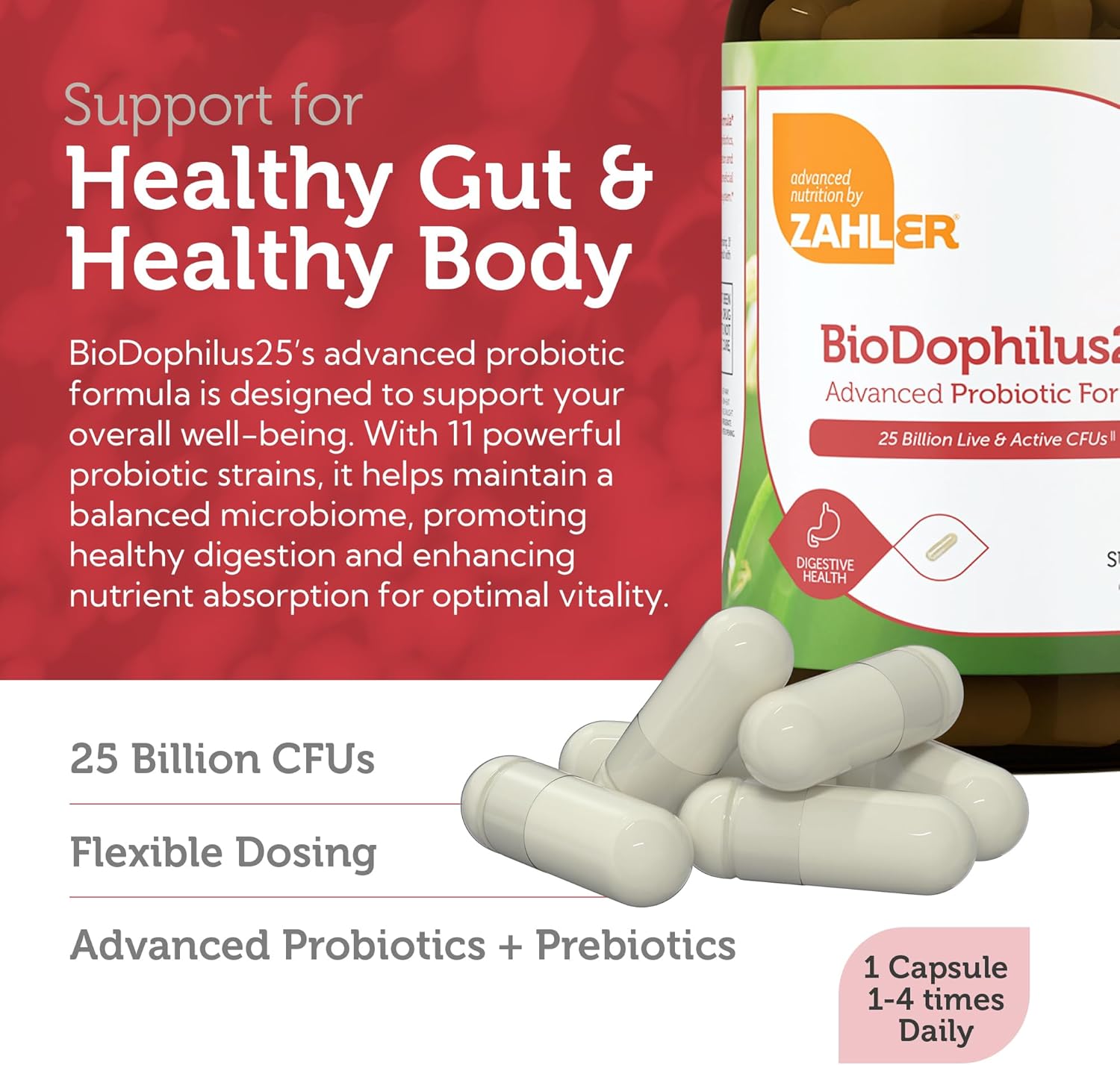 Zahler BioDophilus25: 25 Billion CFU Probiotic + Prebiotic - 11 Strains Daily Supplement for Digestive Health - Kosher Probiotics for Men & Women (120 Capsules)
