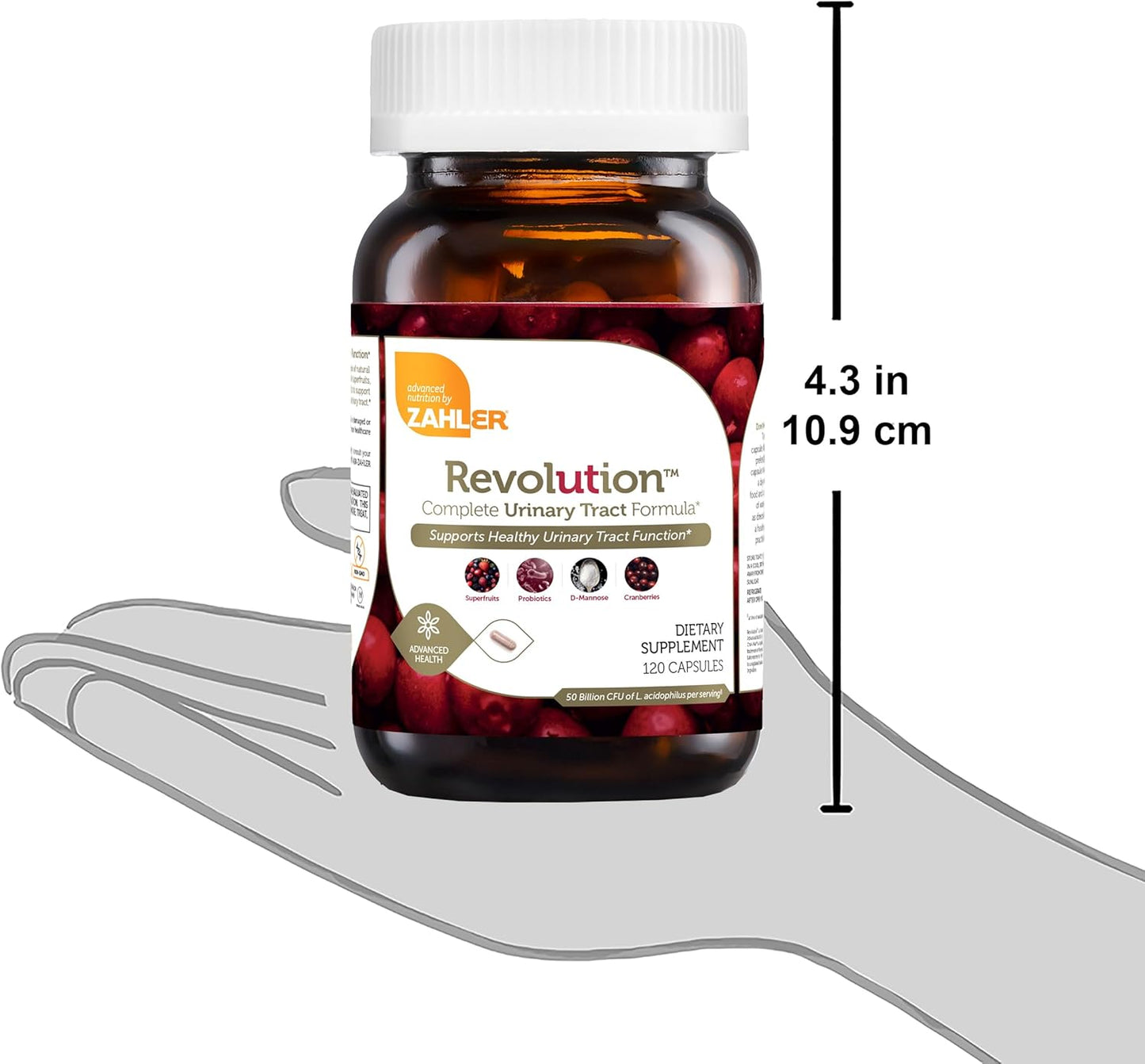 Zahler UT Revolution Cranberry Concentrate Pills with D-Mannose and Probiotics for Urinary Tract and Bladder Health, 120 Caps - Kosher