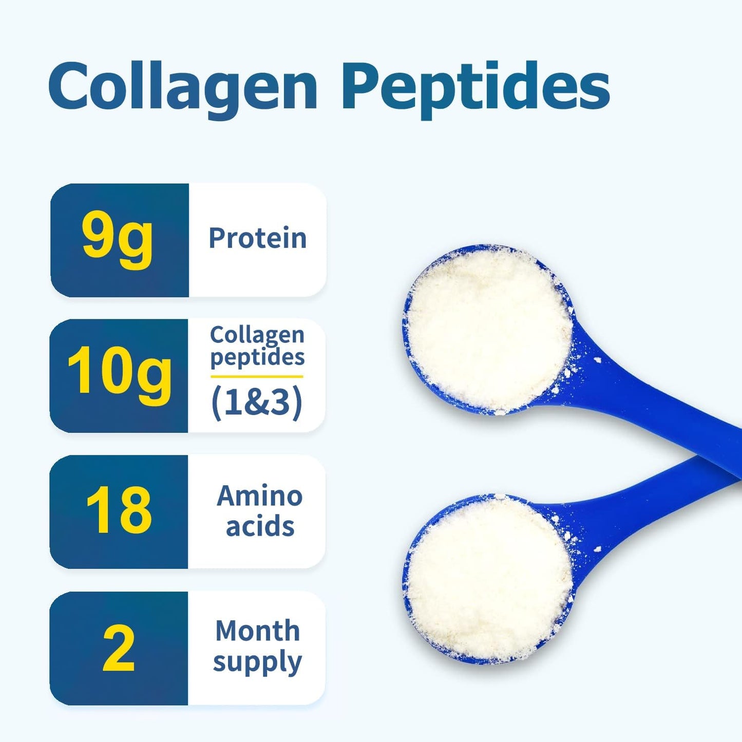 Zammex Collagen Peptides with Chocolate Bone Broth Powder - Premium Protein Supplement