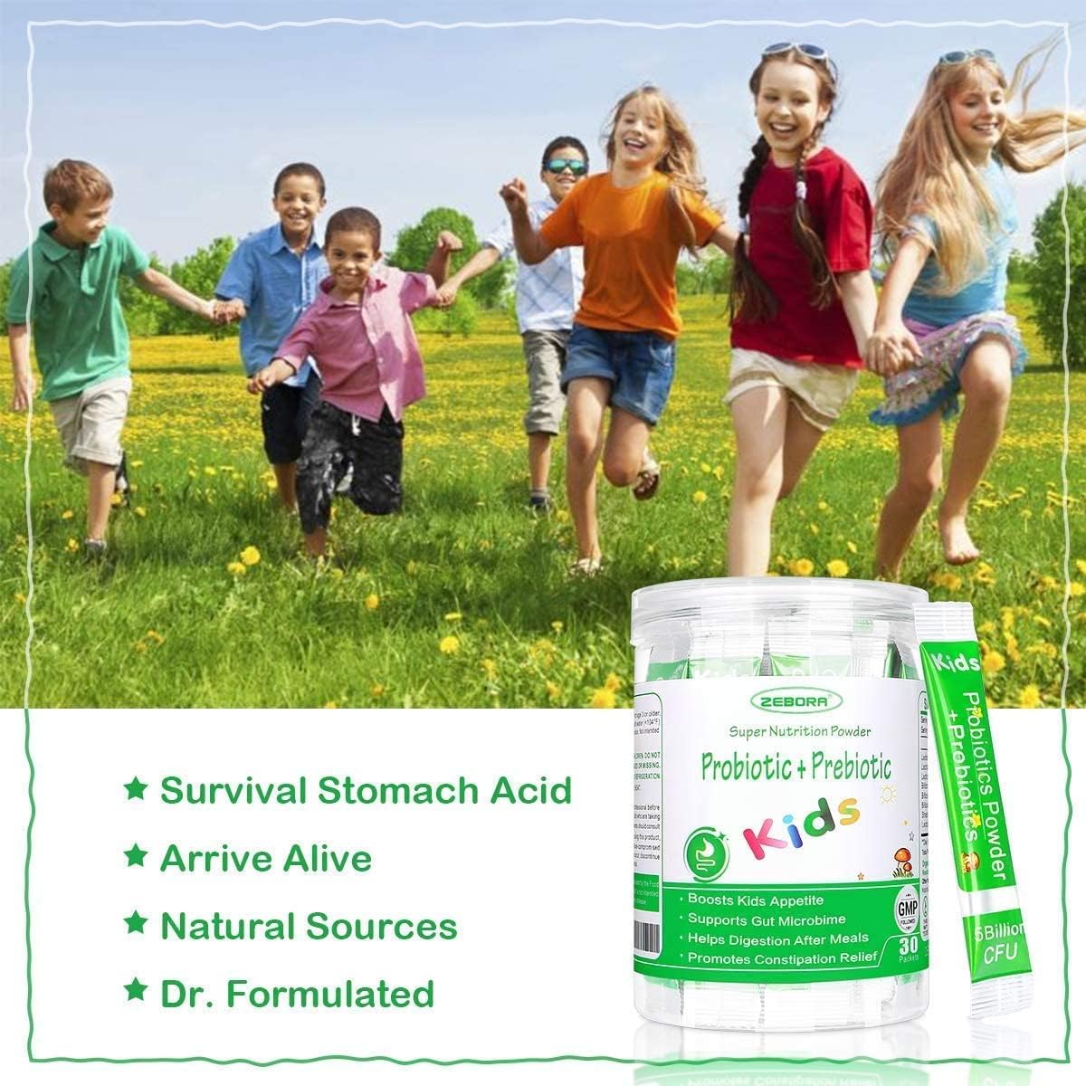 ZEBORA Probiotics Powder for Digestive and Immune Health, Supports Women, Men, and Kids 3+, Gluten Free, Non GMO - 30 Bags