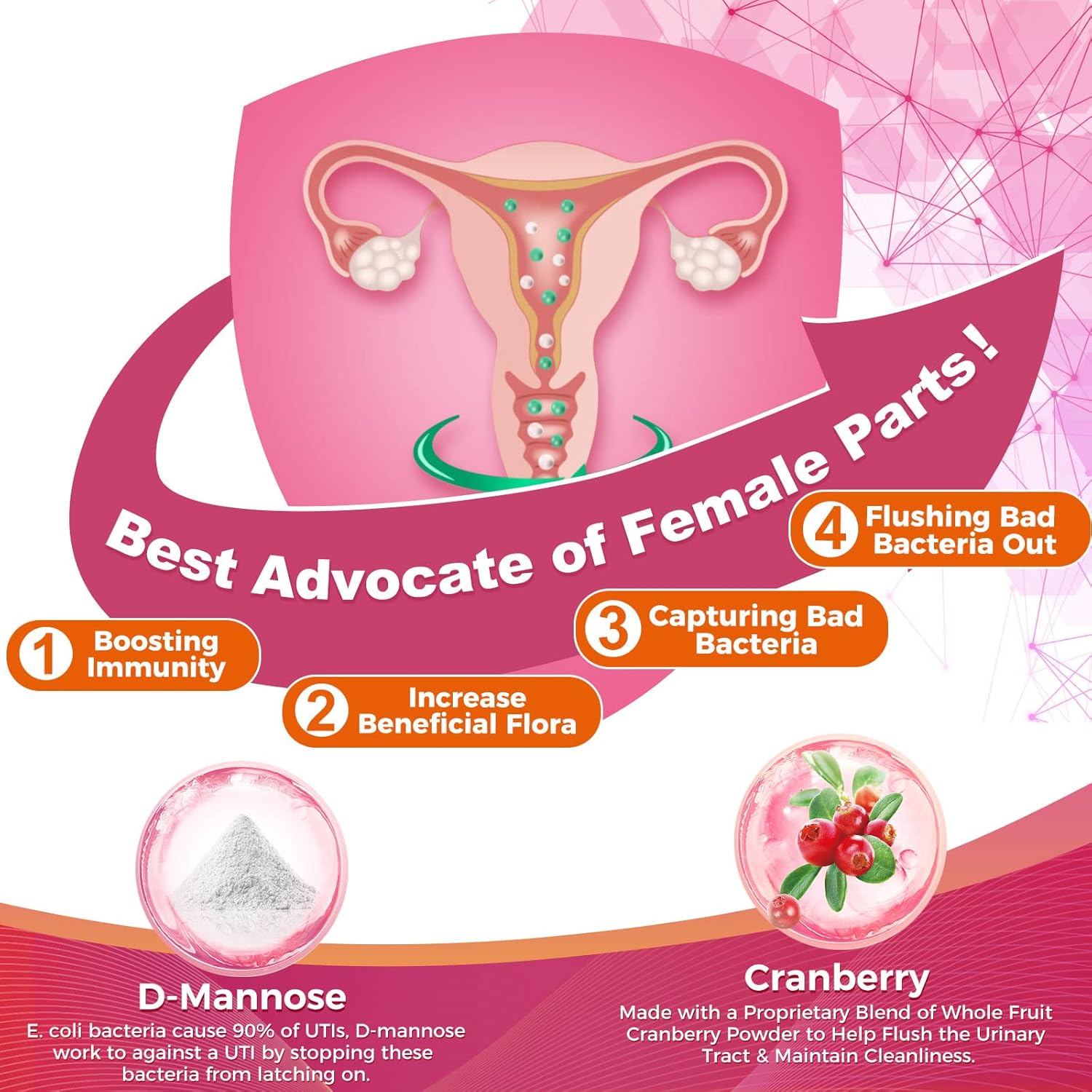 ZEBORA Ultimate Probiotics for Women - 100 Billion CFUs with Prebiotics, D-Mannose, and Cranberry - Digestive, Immune, and UT Health Support - Soy and Gluten Free - 45 Packets