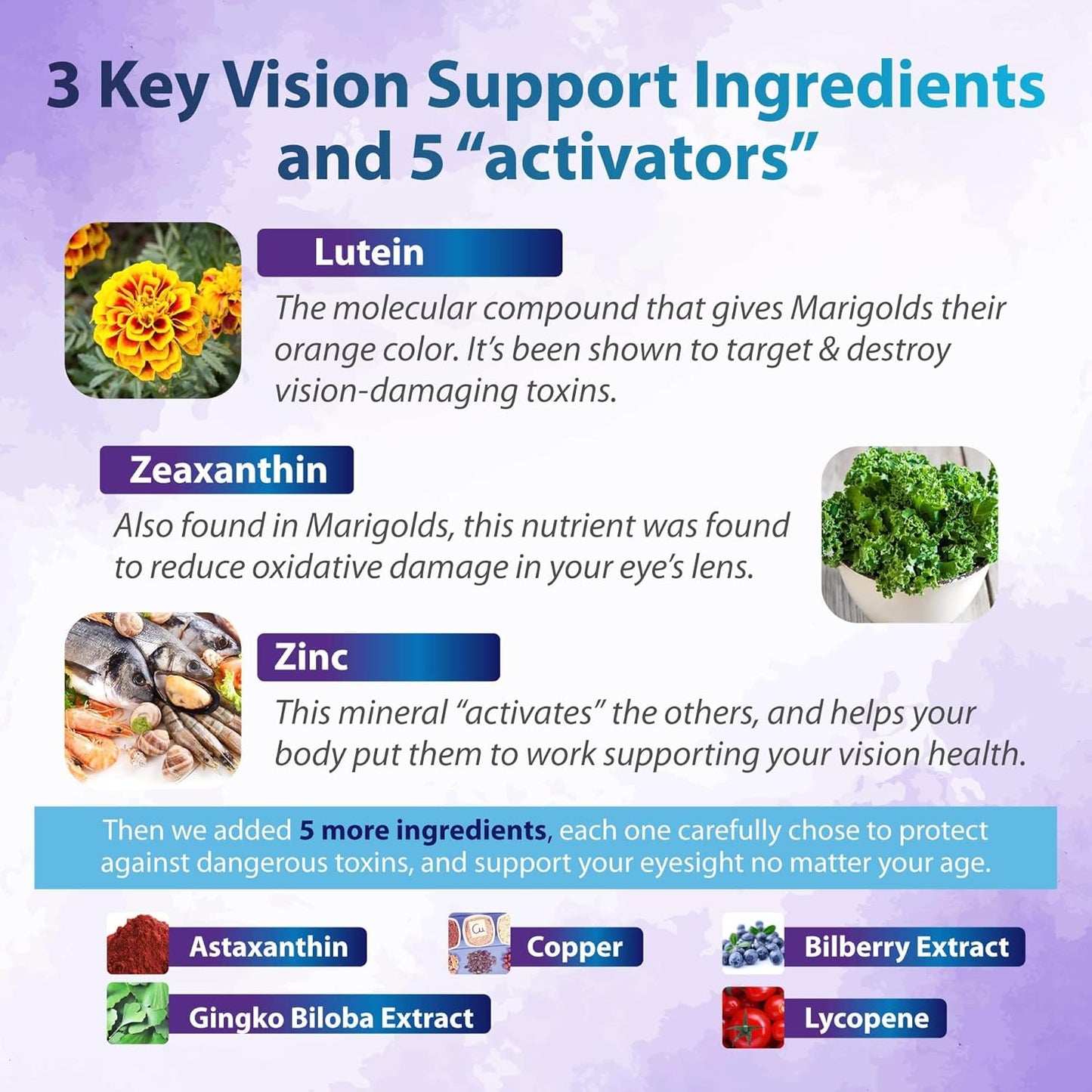 Zenith Labs Vision 20 Eye Vitamins with Lutein, Zeaxanthin, and Bilberry Extract - Enhances Eye Health and Reduces Eye Strain - Carotenoid Blend, 2 Pack