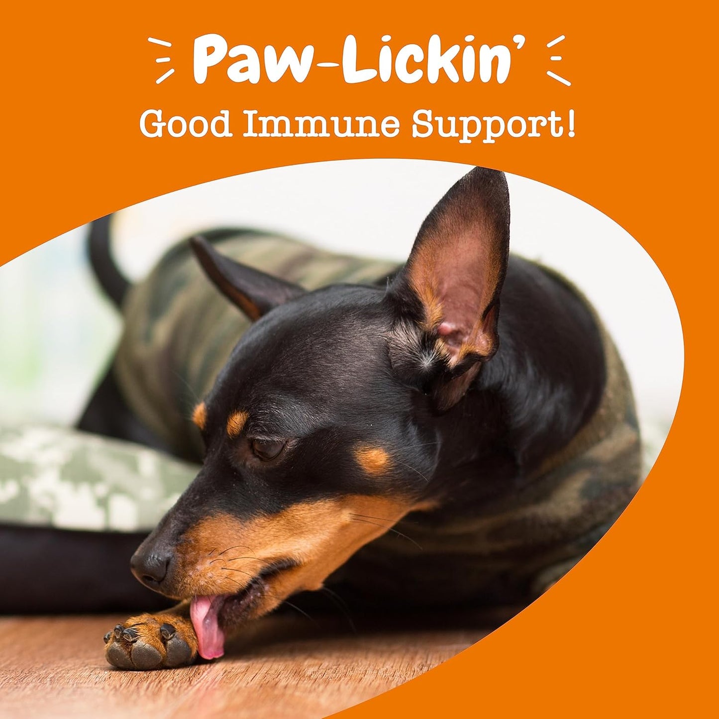 Zesty Paws Allergy & Immune Support Infusions for Dogs - Omega 3 Salmon Oil - Sensitive Skin Relief - EpiCor Pets, Colostrum, Quercetin - Seasonal Allergy Relief - Chicken Flavor - 16 fl oz