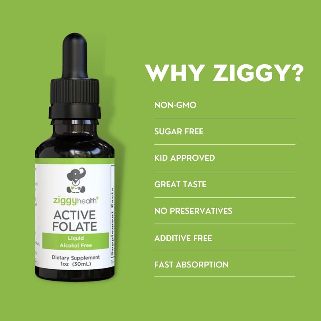 Ziggy Health Active Folate Liquid Extract Supplement - L-Methylfolate for Brain Health & Immune Support, Water Soluble B Complex - 1oz