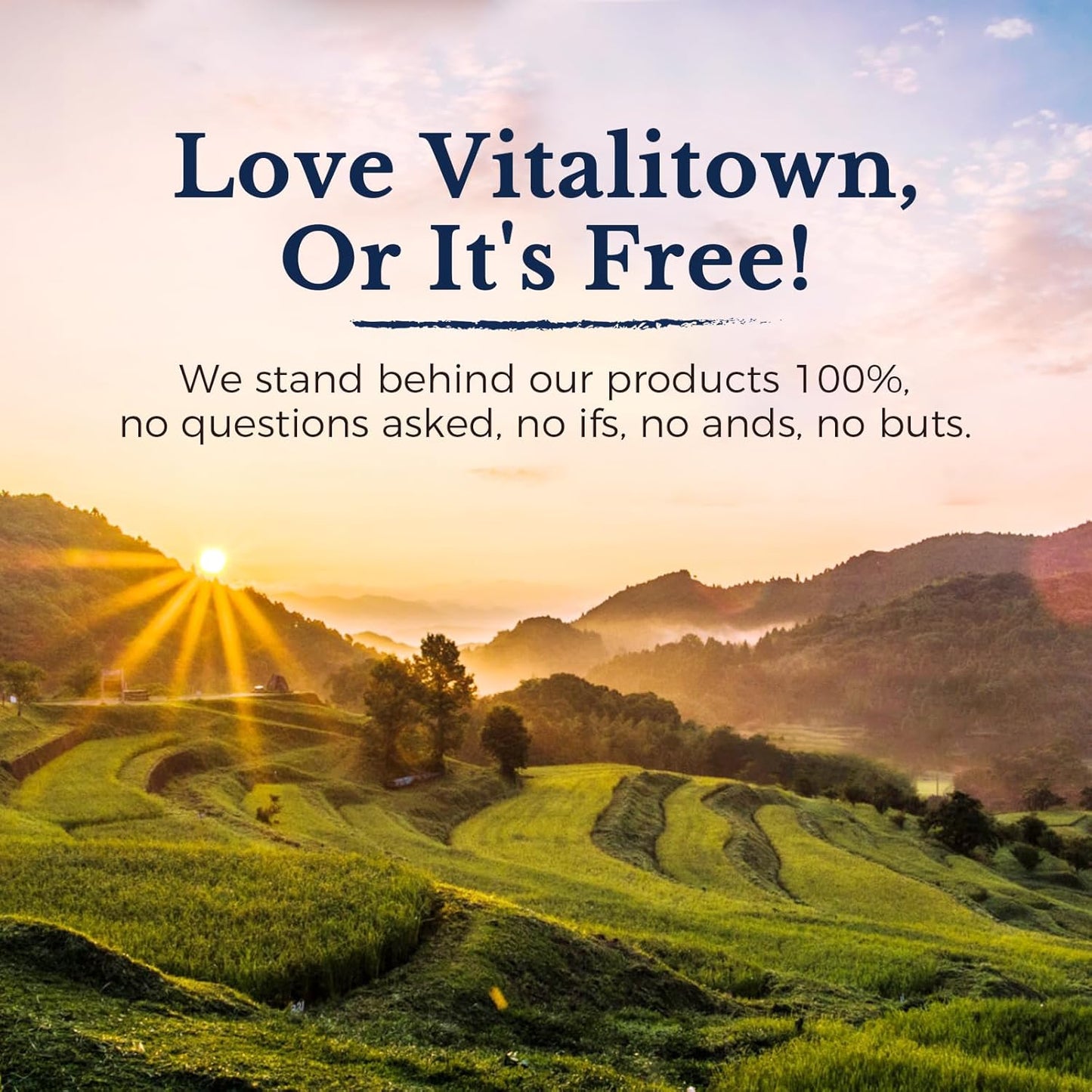 Zinc Chelated Supplement 50mg - 240 Veggie Capsules, Immune Support, Healthy Skin, Vegan & Non-GMO