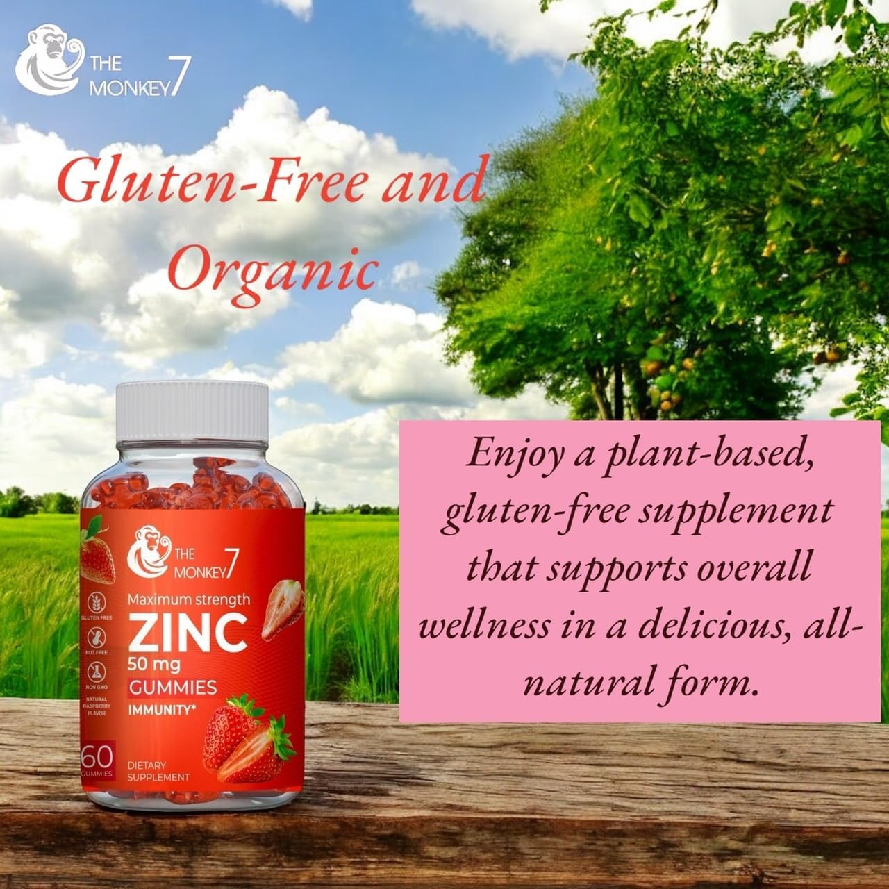 Zinc Citrate Gummies 50mg for Immune Support - Gluten Free, Vegan, Non-GMO - 2 Pack of Maximum Strength Zinc Gummies