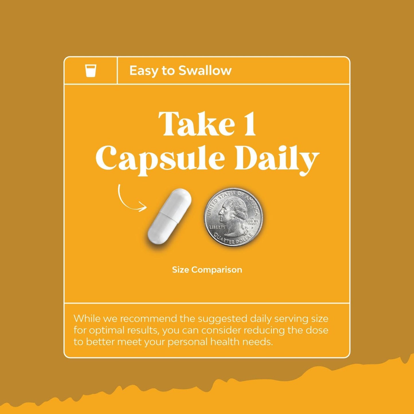 Zinc & Quercetin with Bromelain Immune Support Bundle - Promotes Nail, Skin, & Joint Health - Boosts Immunity, Brain, Lung, & Focus - Natural Health Supplements