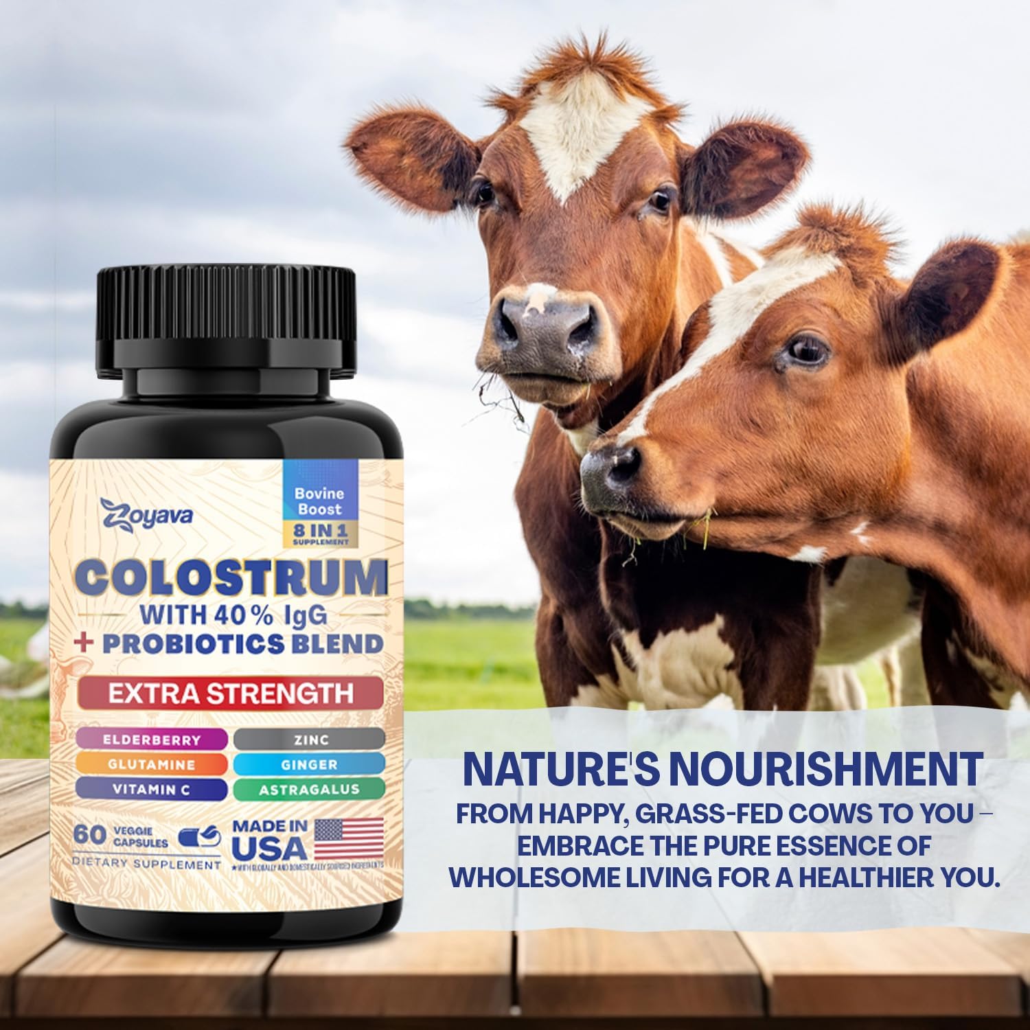 Zoyava Bovine Colostrum Supplement Capsules with Probiotics, Elderberry, L-Glutamine, Astragalus, Vitamin C, Ginger, and Zinc (60 Capsules)