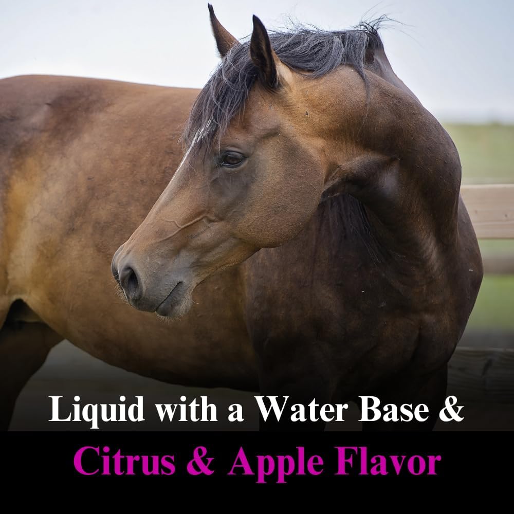 1 Gallon SU-PER Muscle Builder Horse Supplement - Enhance Training & Performance - 4 Month Supply