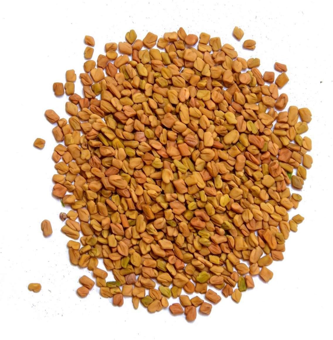 1 lb Bixa Botanical Fenugreek Powder (Trigonella Foenum) - Ayurvedic Herbal Supplement