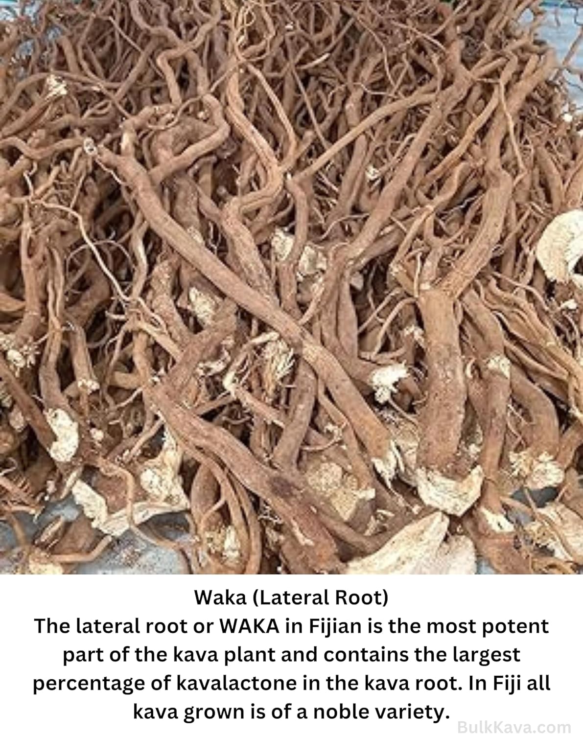 1 LB Fiji's #1 AAA Grade Waka Kava Root Powder - 100% Noble Kava from Pure Fijian Roots - Fiji'sKava.com