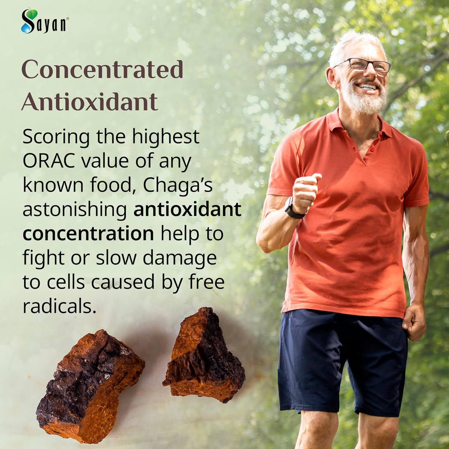 1 lb Premium Wild-Harvested Sayan Siberian Chaga Mushroom Chunks with Black Top Crust - Raw & Pure Antioxidant Tea for Immune Support, Focus, Digestive Health - Non-GMO - 16 Oz