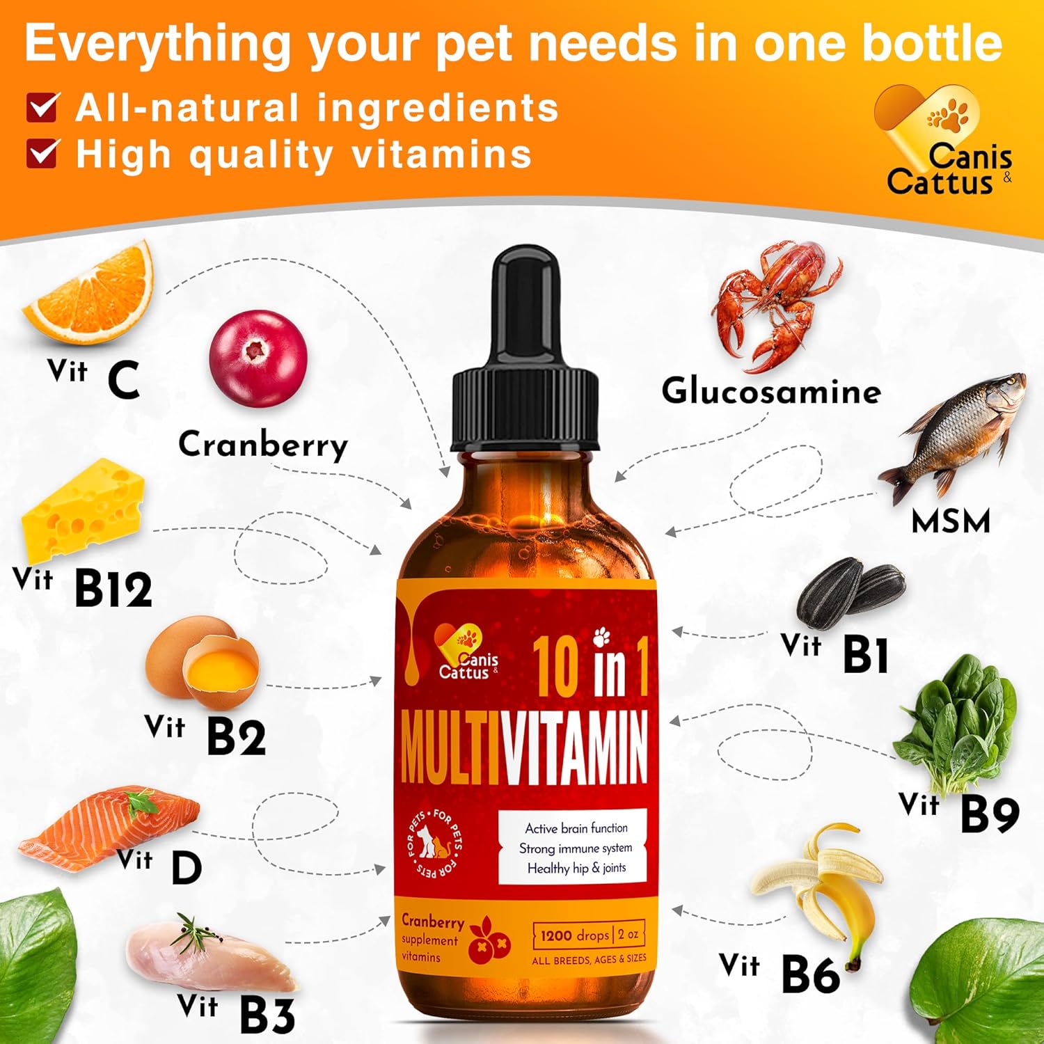 10-in-1 Canis&Cattus Liquid Multivitamin for Dogs and Cats with Glucosamine, Cranberry, HIPS & Joints, Skin & Coat Support | Allergy Relief, Coughs, UTIs | 2 oz