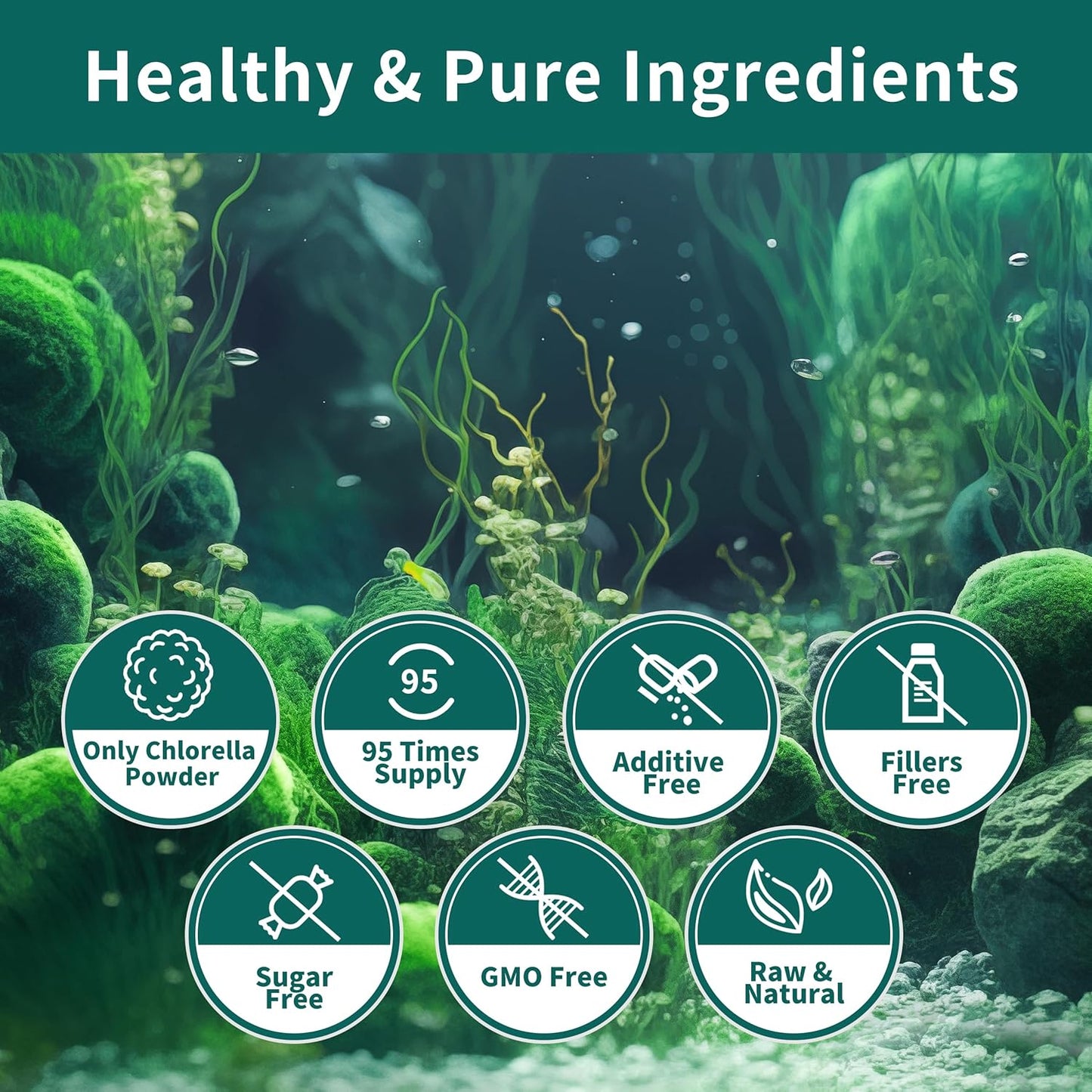10 oz Hudetex Chlorella Powder: Vegan Protein with Chlorophyll for Immune & Liver Support, Youthful Skin & Rich in Vitamins