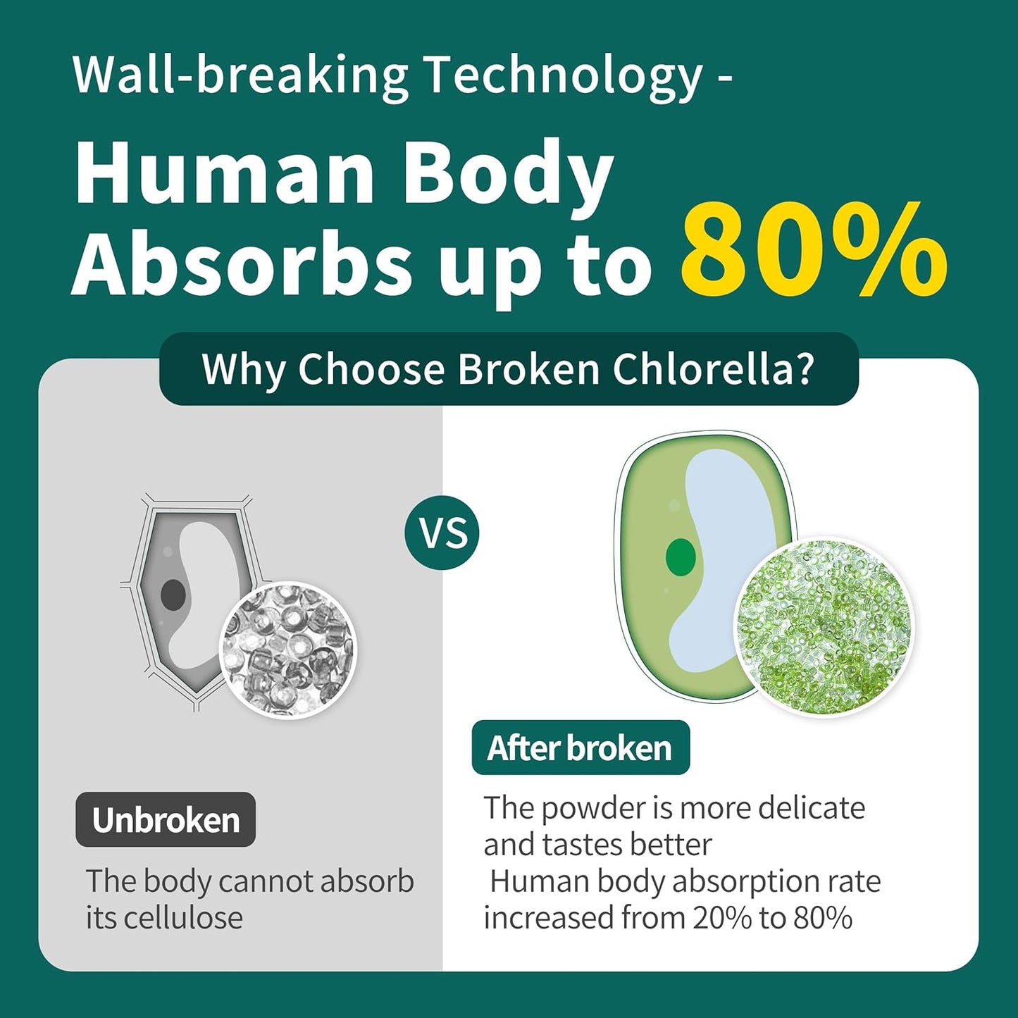 10 oz Hudetex Chlorella Powder: Vegan Protein with Chlorophyll for Immune & Liver Support, Youthful Skin & Rich in Vitamins