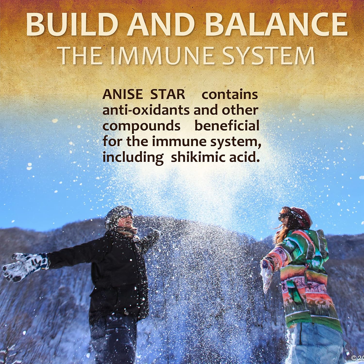 100 Capsules of Herbalicious Star Anise Dietary Supplement for Immune Strength and Antioxidant Richness - Natural 1000mg Formula for Men and Women with No Fillers or Preservatives