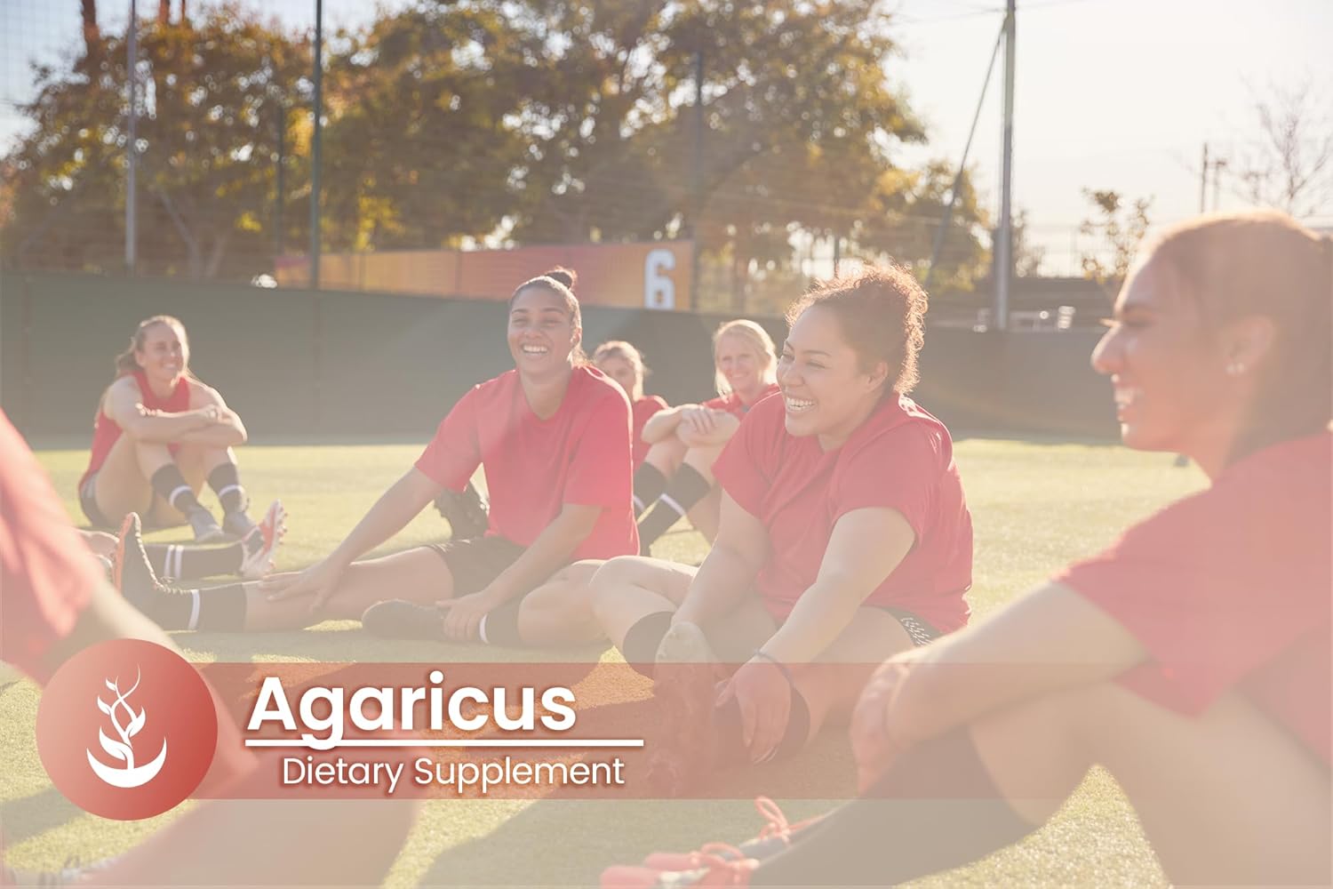 100 Capsules of Lab Verified Agaricus with Pure Original Ingredients - No Additives or Fillers