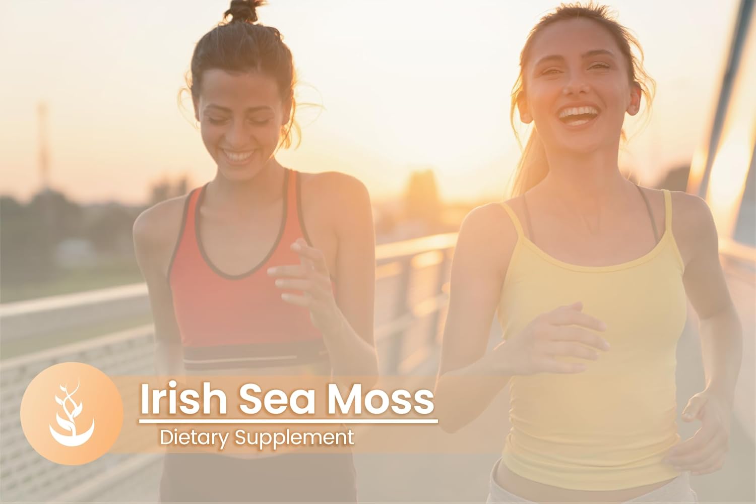 100 Capsules of Pure Irish Sea Moss with Original Ingredients, Lab Verified, No Additives or Fillers - Always Pure