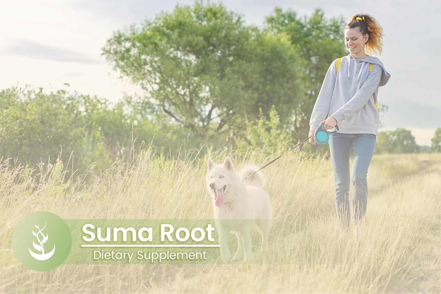 100 Capsules of Suma Root with Pure Original Ingredients - Lab Verified, No Additives or Fillers