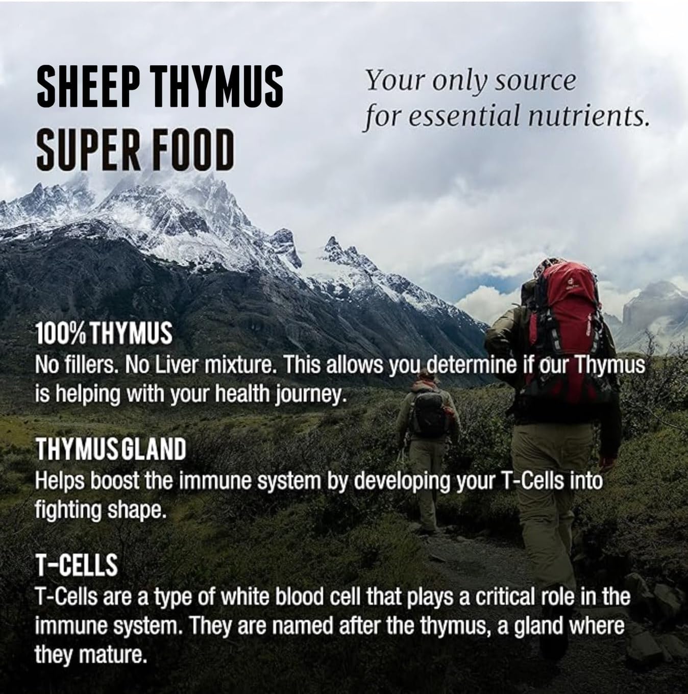 100% Grass Fed Thymus Supplements from New Zealand - 3,000mg per Serving, 200 Capsules