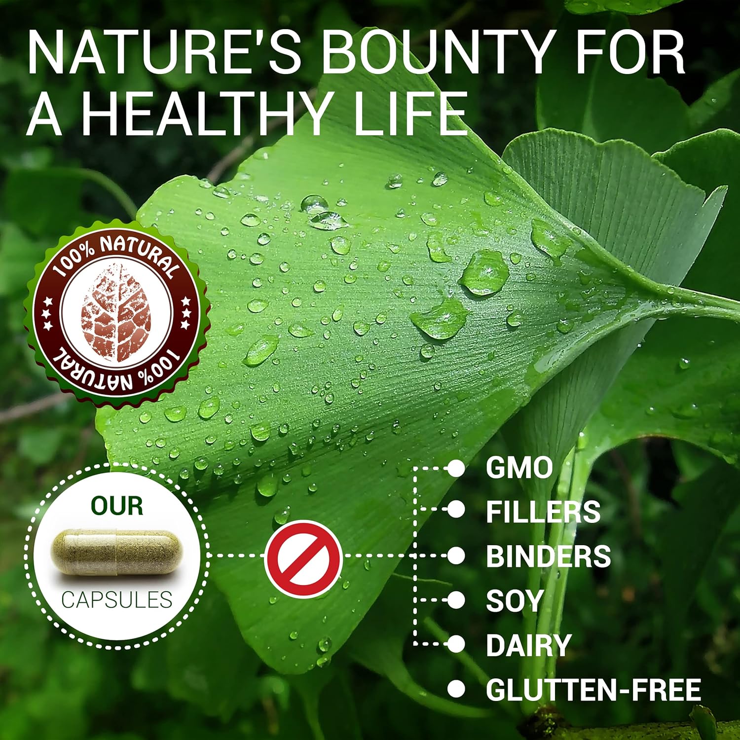 100 Herbalicious Ginkgo Biloba Capsules for Daily Mental Clarity, Focus, Memory, Stress Relief, Heart and Brain Health - Natural Nootropic Supplement for Men and Women
