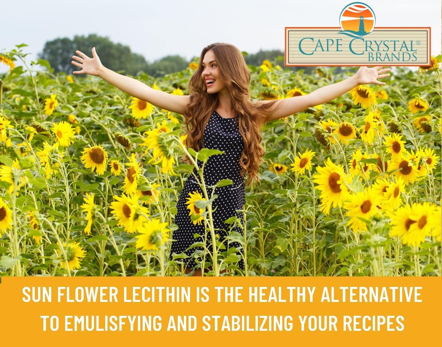 100% Natural Cape Crystal Sunflower Lecithin Powder - Vegan, Non-GMO, Gluten-Free Soy Lecithin Alternative (14-oz)