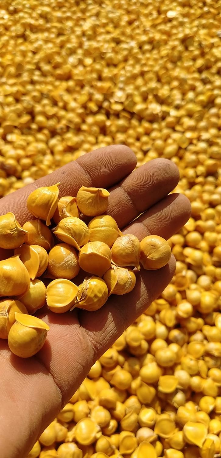 100% Natural Japanese Garlic Cloves (AJO Japones) - 150 Pieces