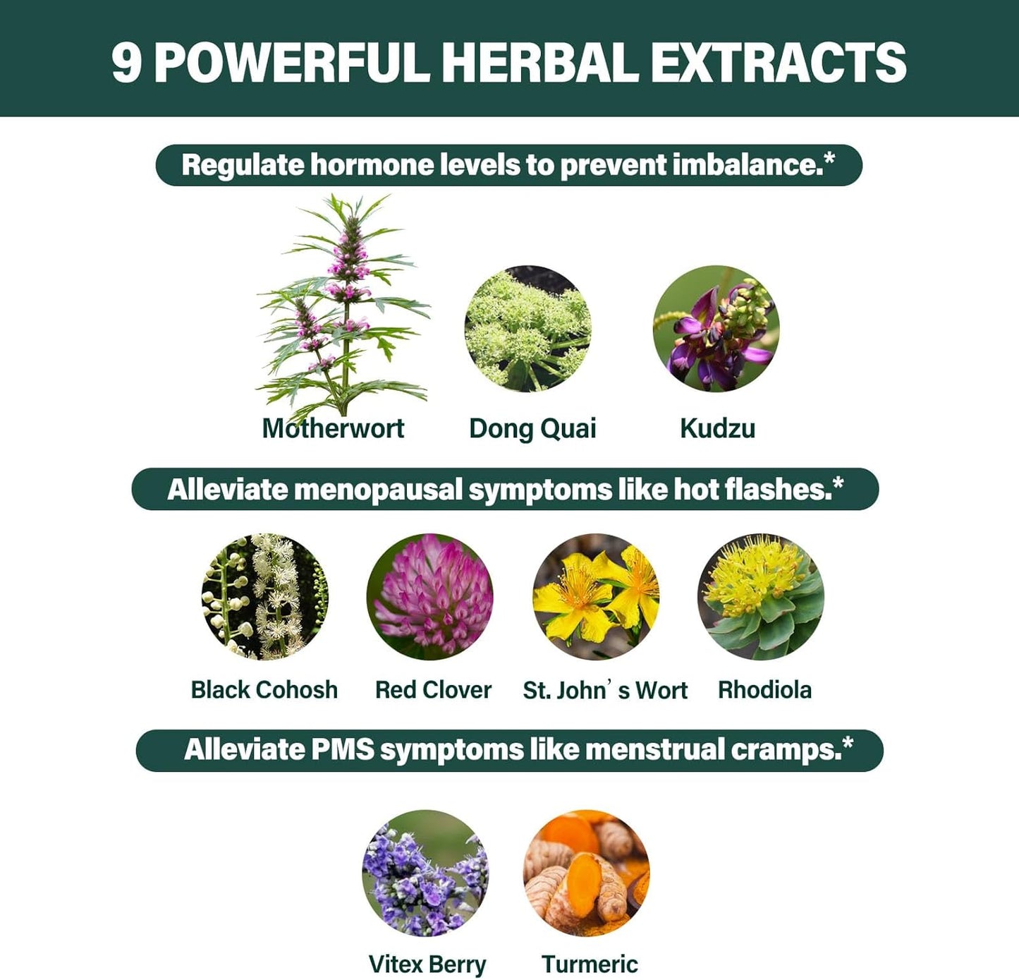 100% Natural Motherwort Extract Herbal Drops for Hormone Balance, Menopause & PMS Support - 2oz