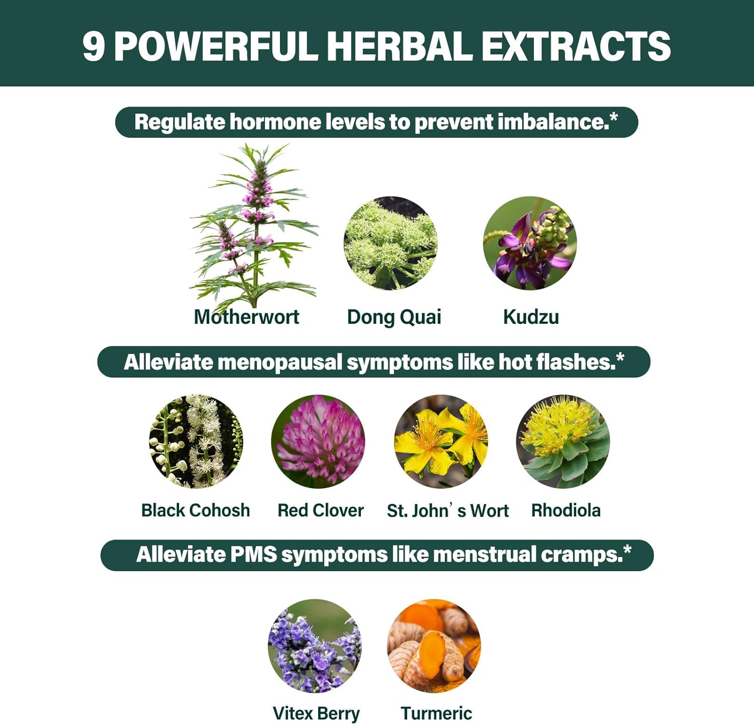 100% Natural Motherwort Extract Herbal Drops for Hormone Balance, Menopause & PMS Support - 2oz