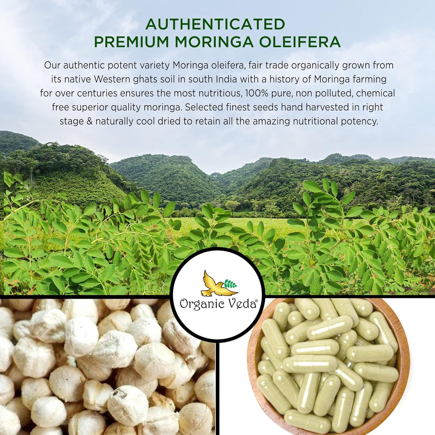100% Natural Organic Veda Moringa Seed Capsules - 1000mg - Rich in Nutrients, Antioxidants, Vitamins, Minerals - Supports Glowing Skin, Immunity, Energy - Non-GMO - 120 Count