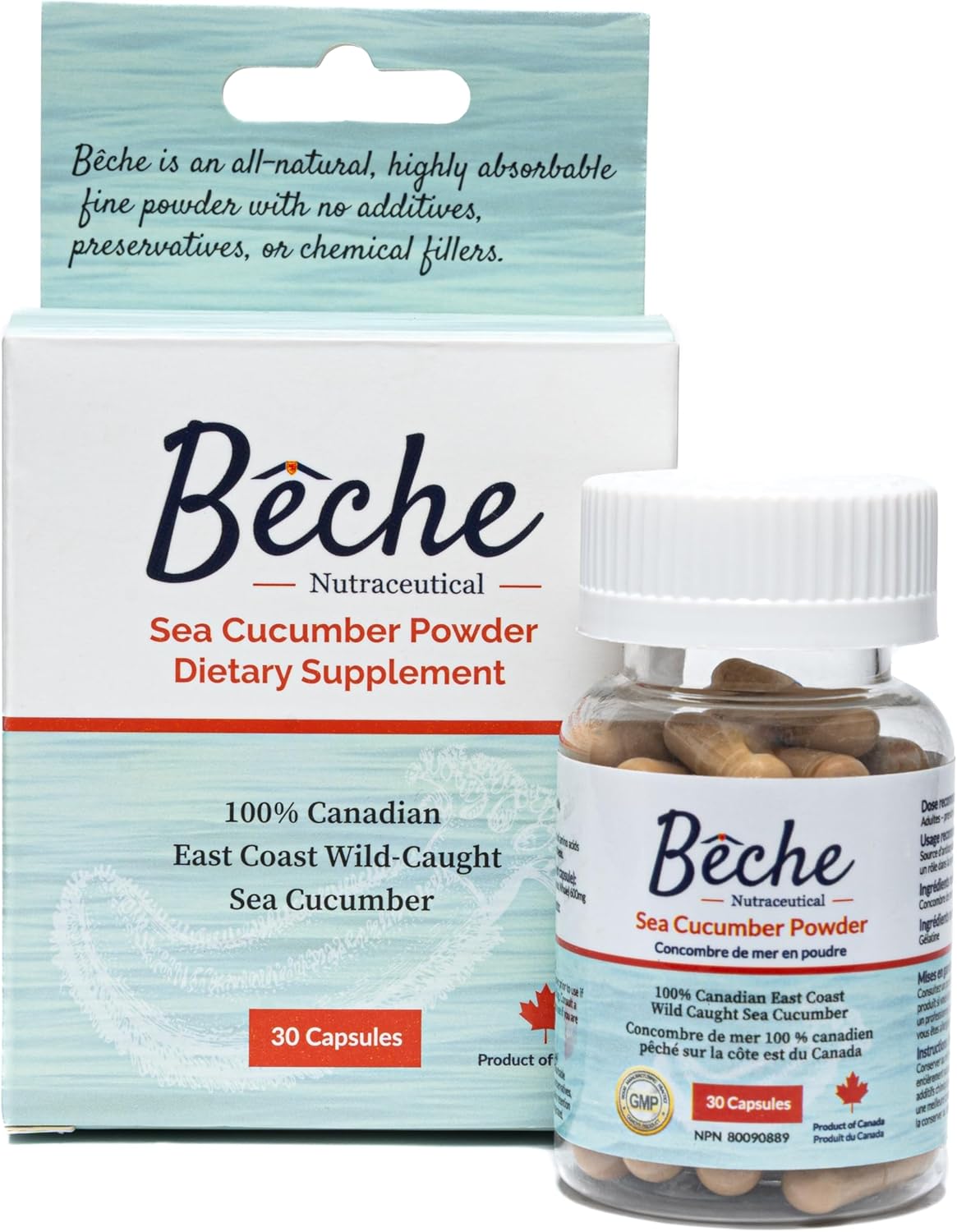 100% Natural Sea Cucumber Powder Capsules - Pack of 30