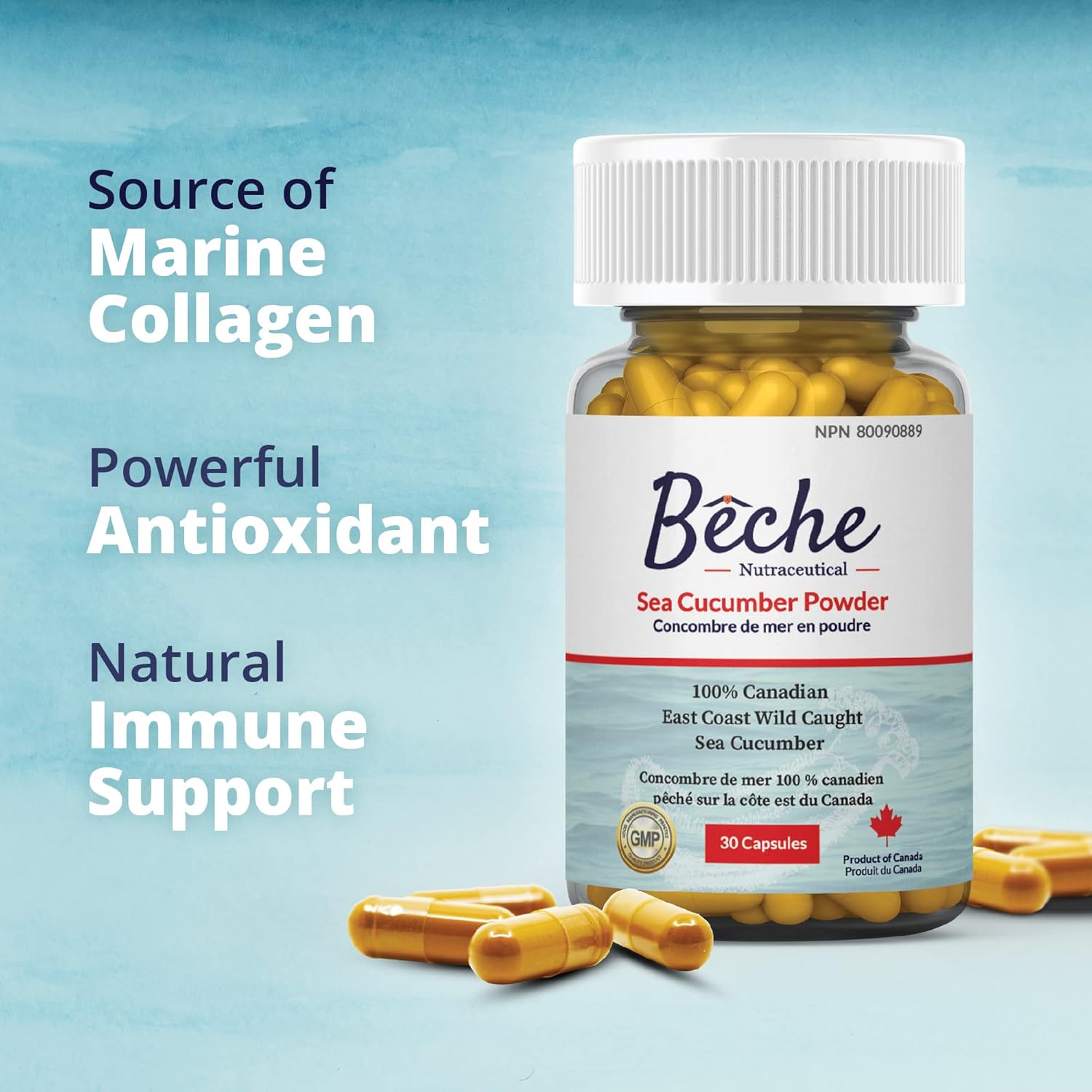 100% Natural Sea Cucumber Powder Capsules - Pack of 30