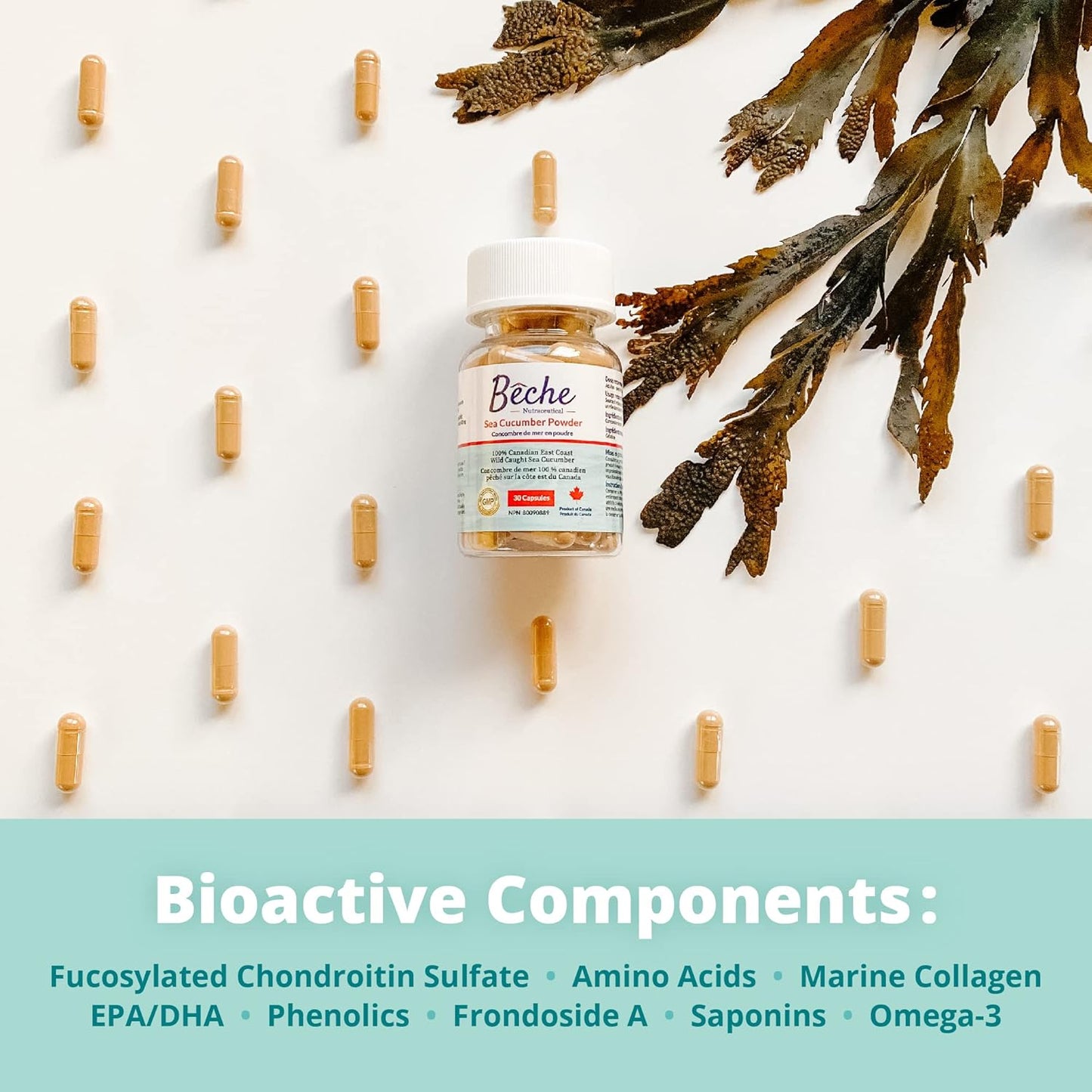 100% Natural Sea Cucumber Powder Capsules - Pack of 30