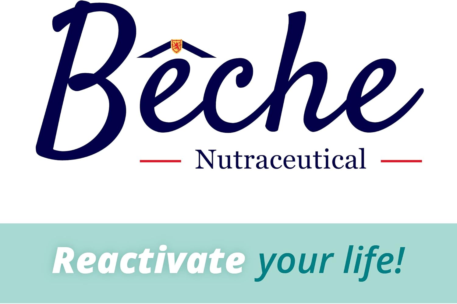 100% Natural Sea Cucumber Powder Capsules - Pack of 30