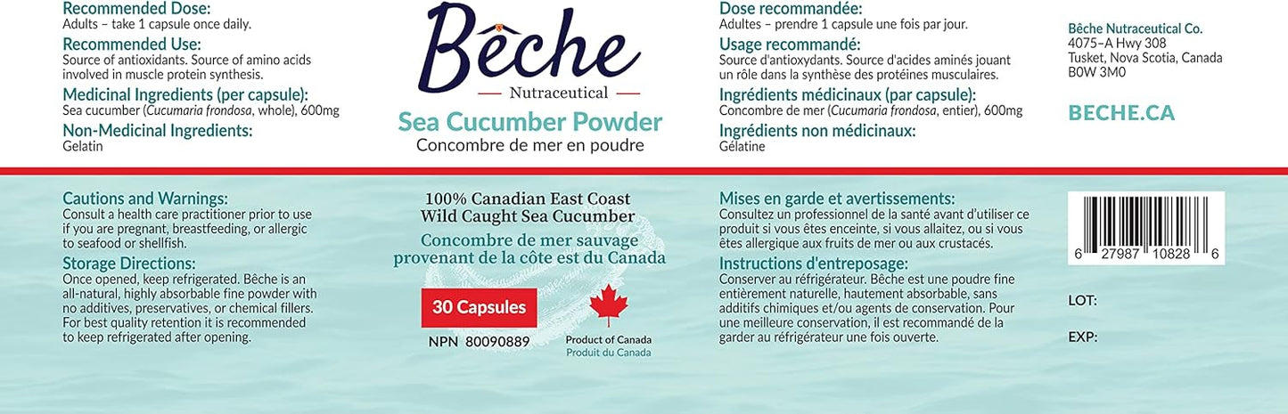 100% Natural Sea Cucumber Powder Capsules - Pack of 30