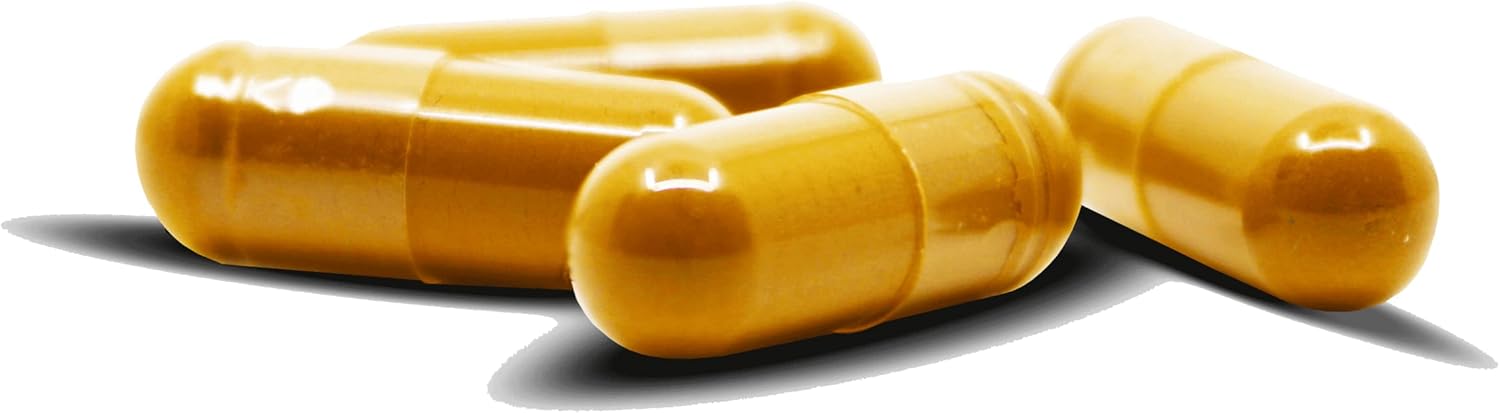 100% Natural Sea Cucumber Powder Capsules - Pack of 30