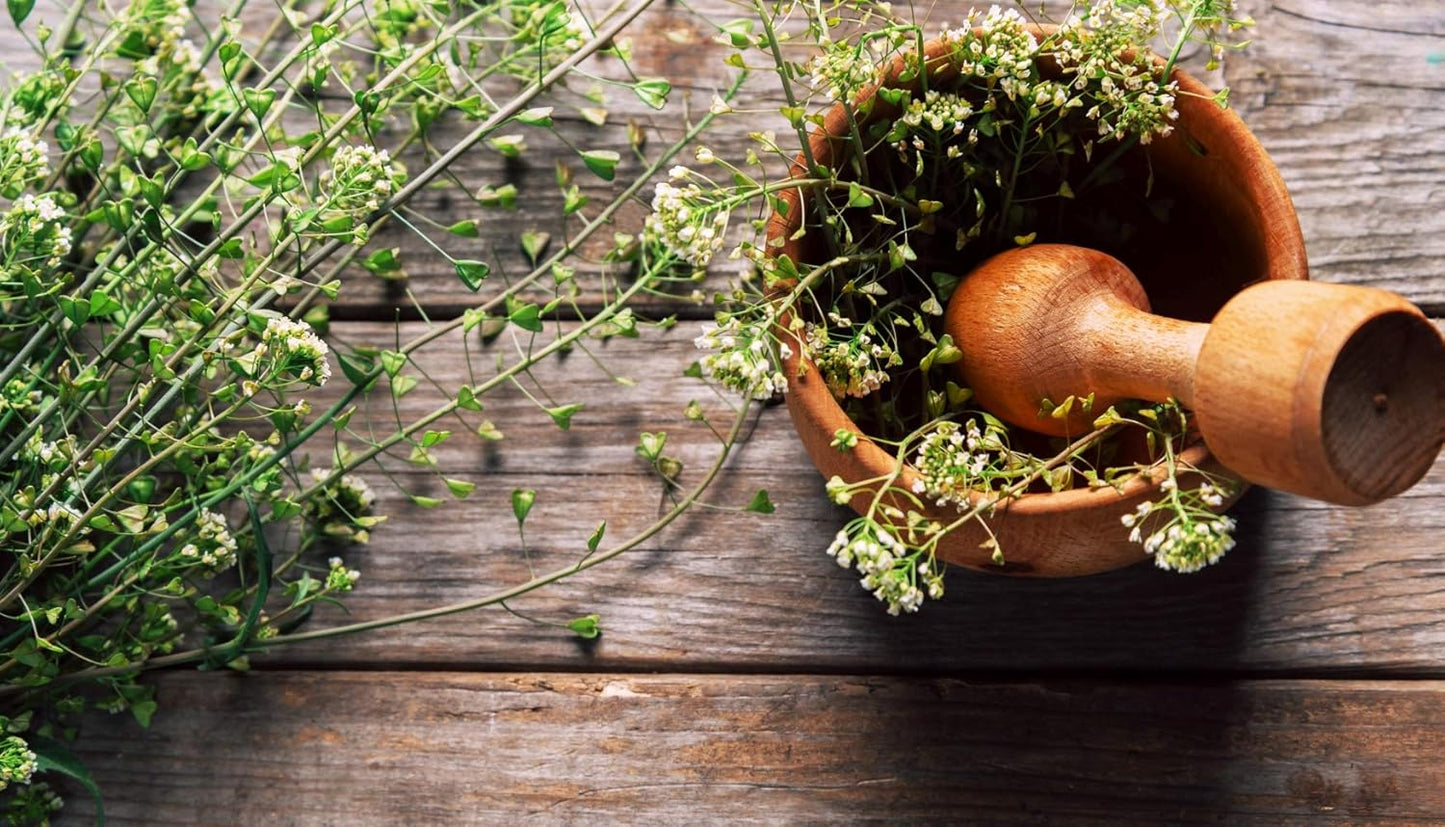 100% Natural Shepherds Purse Herb (Capsella Bursa-pastoris) - 50g by Health Embassy