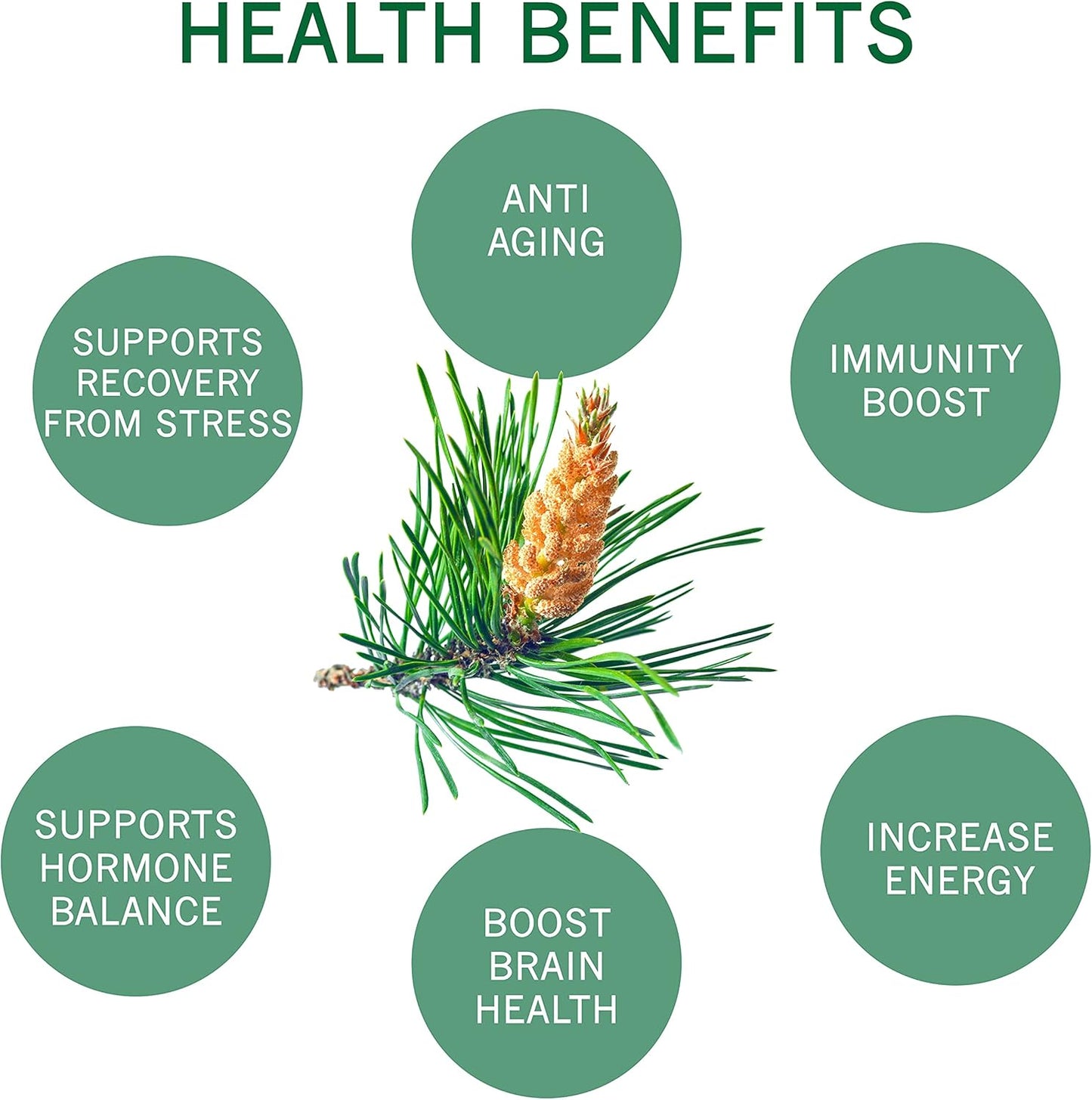 100% Organic Pine Pollen Powder by Asiya Life - 6 oz - Non GMO - Wild Harvested - Energy & Immune Support - No Fillers