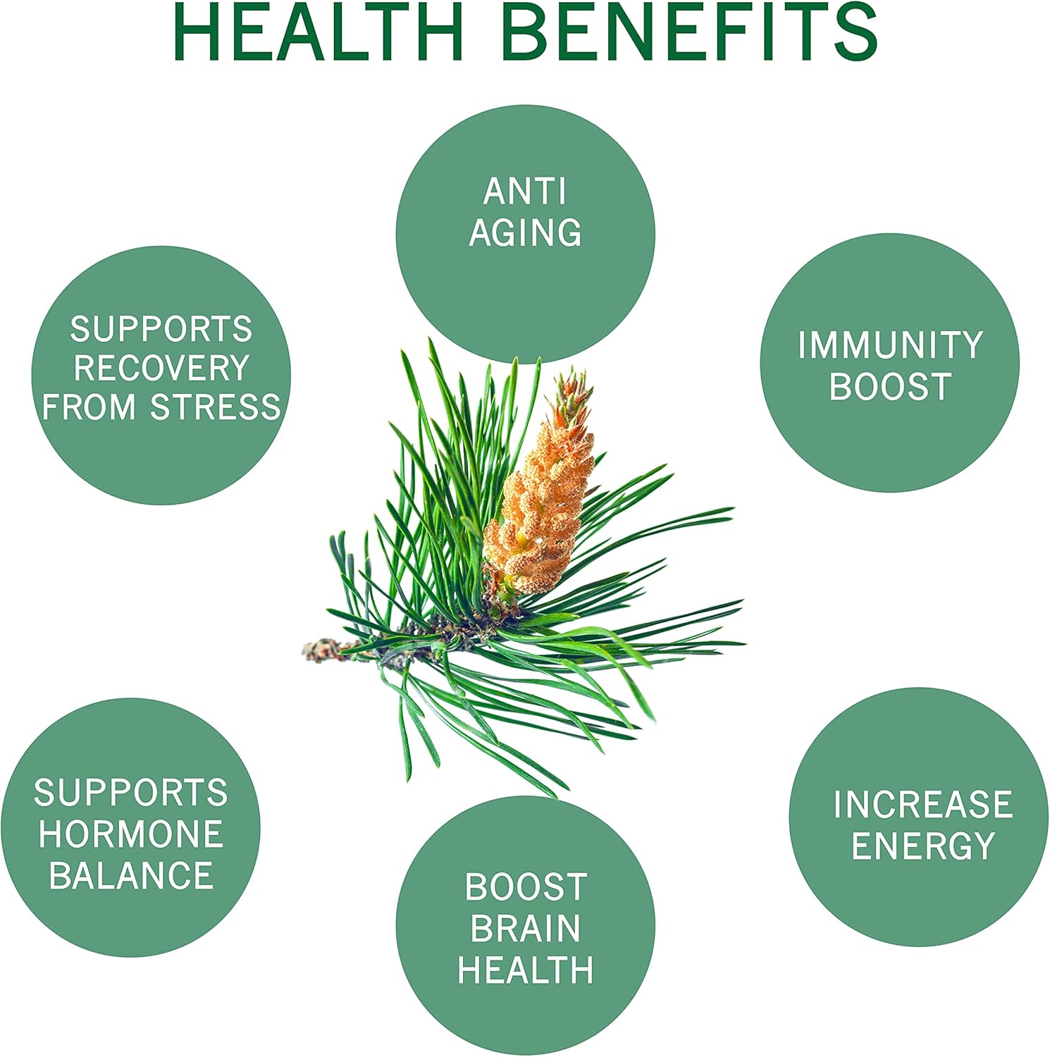 100% Organic Pine Pollen Powder by Asiya Life - 6 oz - Non GMO - Wild Harvested - Energy & Immune Support - No Fillers