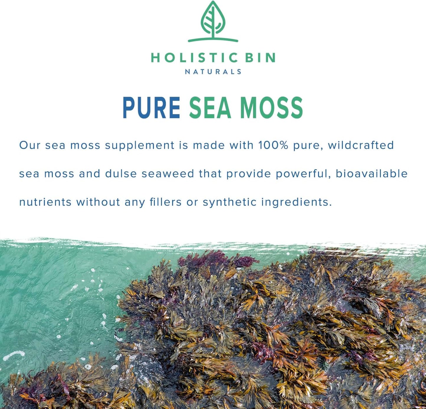 100% Pure Caribbean Sea Moss & Dulse Seaweed Capsules - Rich in Antioxidants, Minerals, Iodine - 40 Capsules