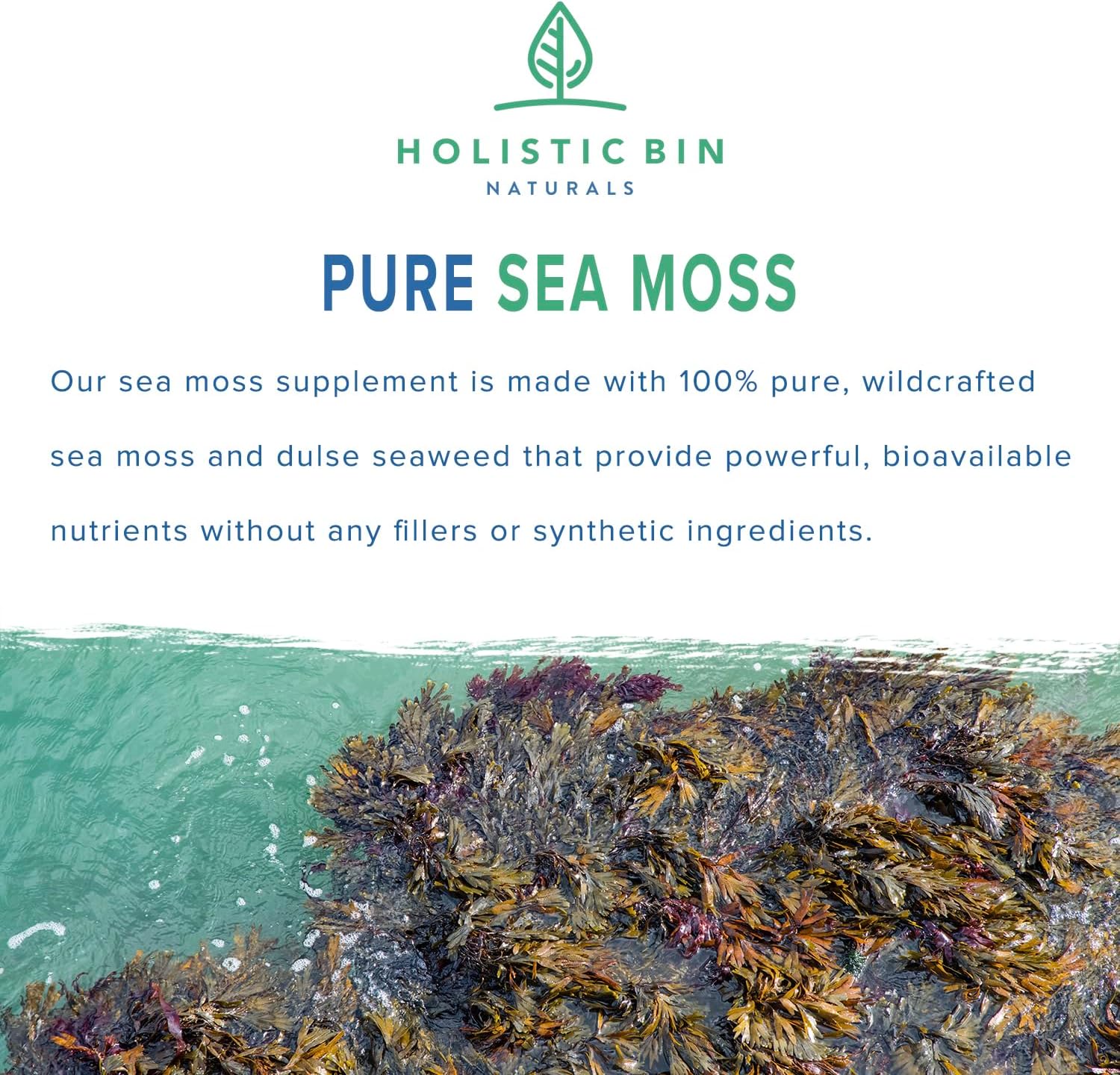 100% Pure Caribbean Sea Moss & Dulse Seaweed Capsules - Rich in Antioxidants, Minerals, Iodine - 40 Capsules