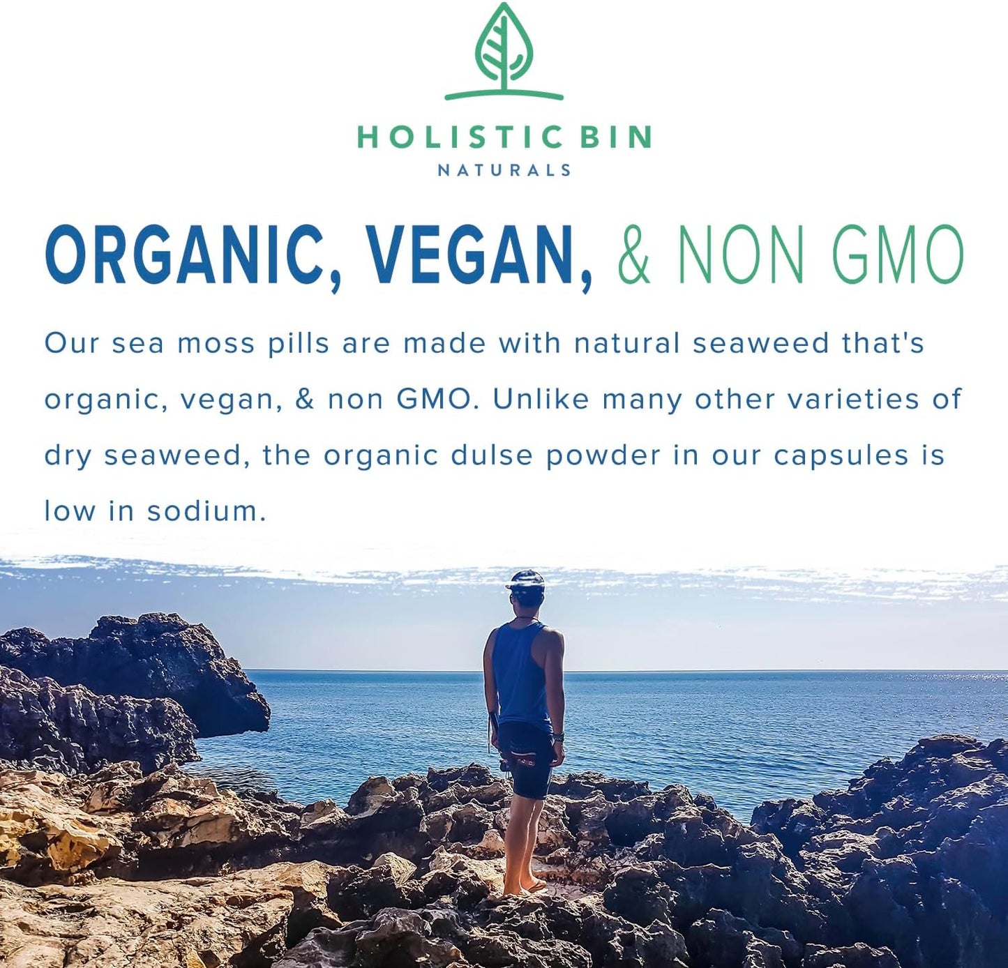 100% Pure Caribbean Sea Moss & Dulse Seaweed Capsules - Rich in Antioxidants, Minerals, Iodine - 40 Capsules