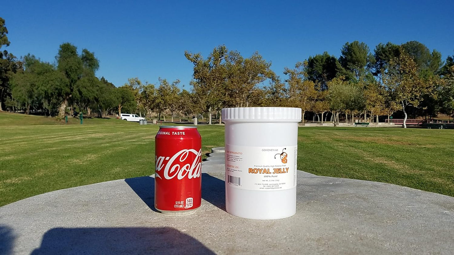 100% Pure Organic Fresh Royal Jelly Superfood for Wellness & Beauty - 2kg