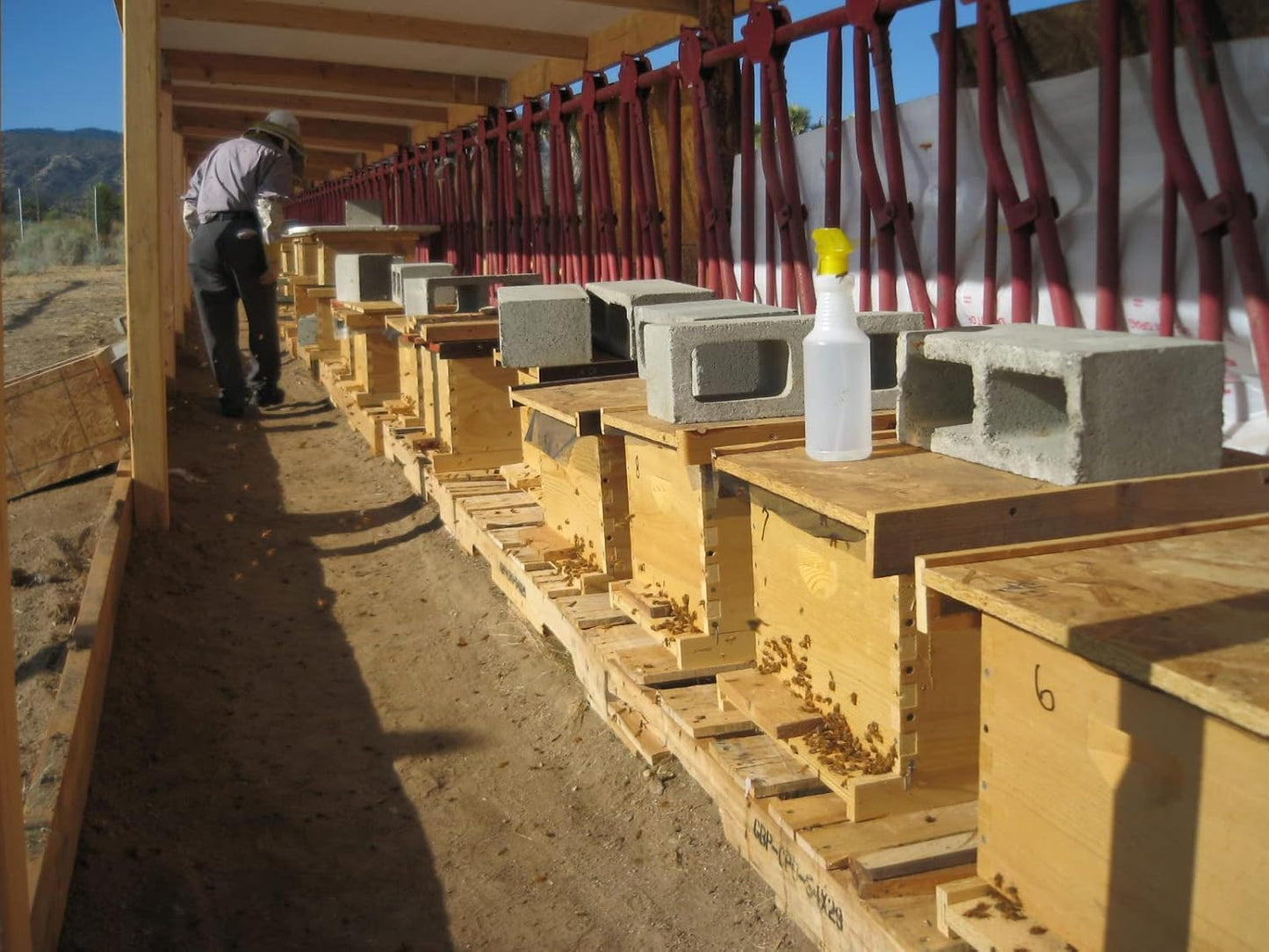 100% Pure Organic Fresh Royal Jelly Superfood for Wellness & Beauty - 2kg