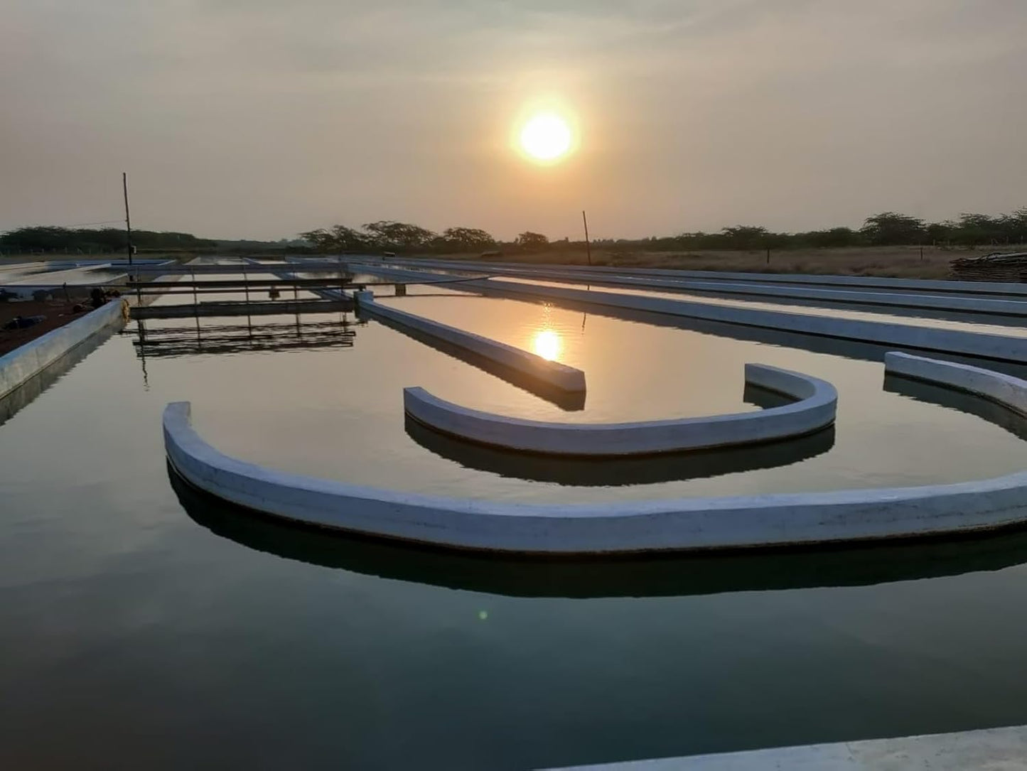 100% Pure Raw Organic Spirulina Tablets - Vegan Protein Source from India - NaturalZing Awaken, Nourish, Empower Your Life