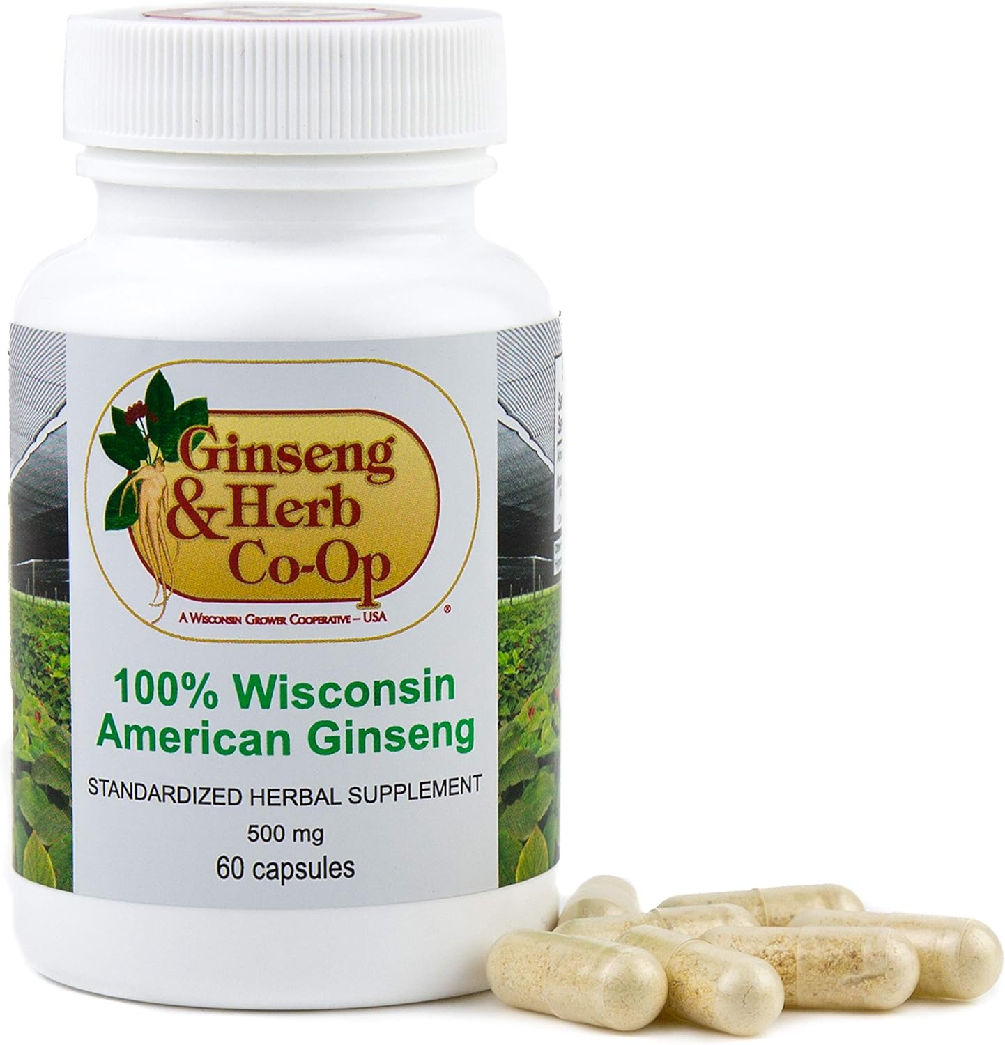 100% Pure Wisconsin American Ginseng Capsules - 500mg - Potent Ground Ginseng Root from Wisconsin Grower Cooperative